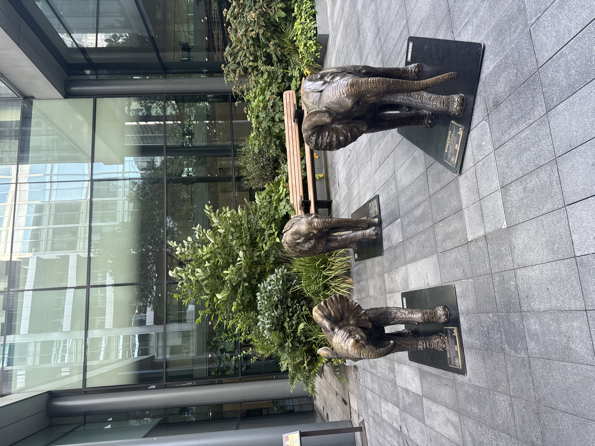 Bronze elephants and a koi pond outside a London glass building