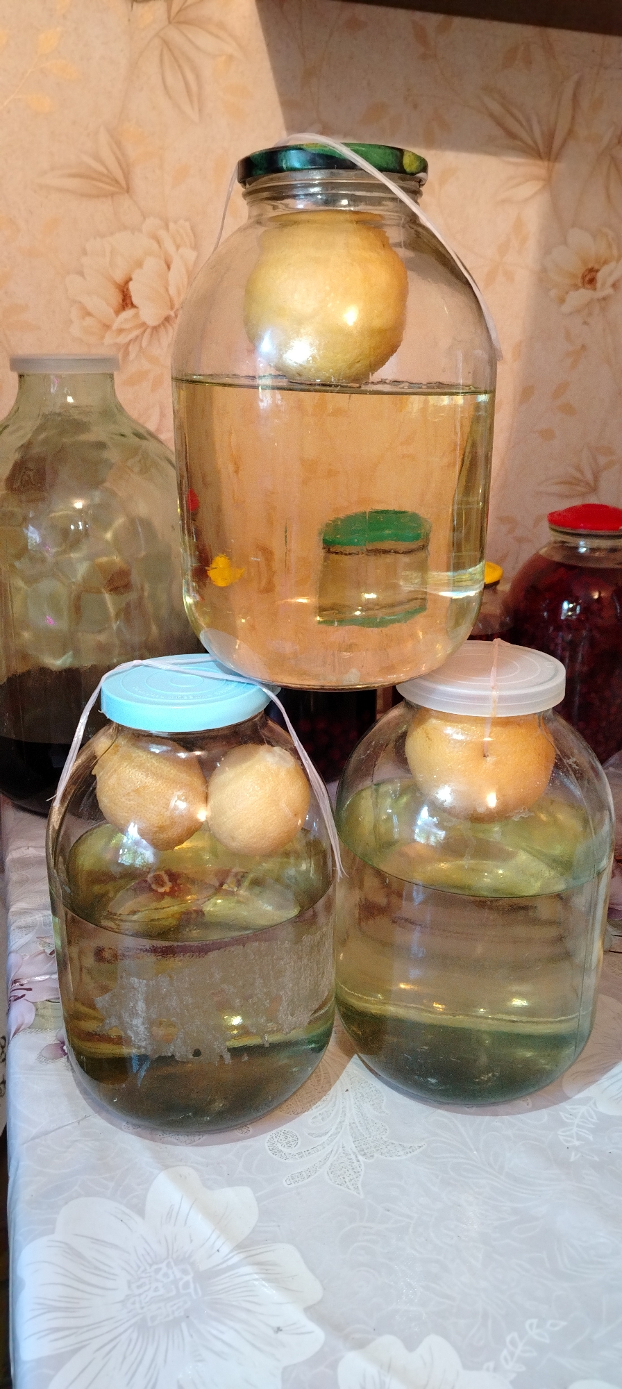 Food preservation documented in Russian village kitchen