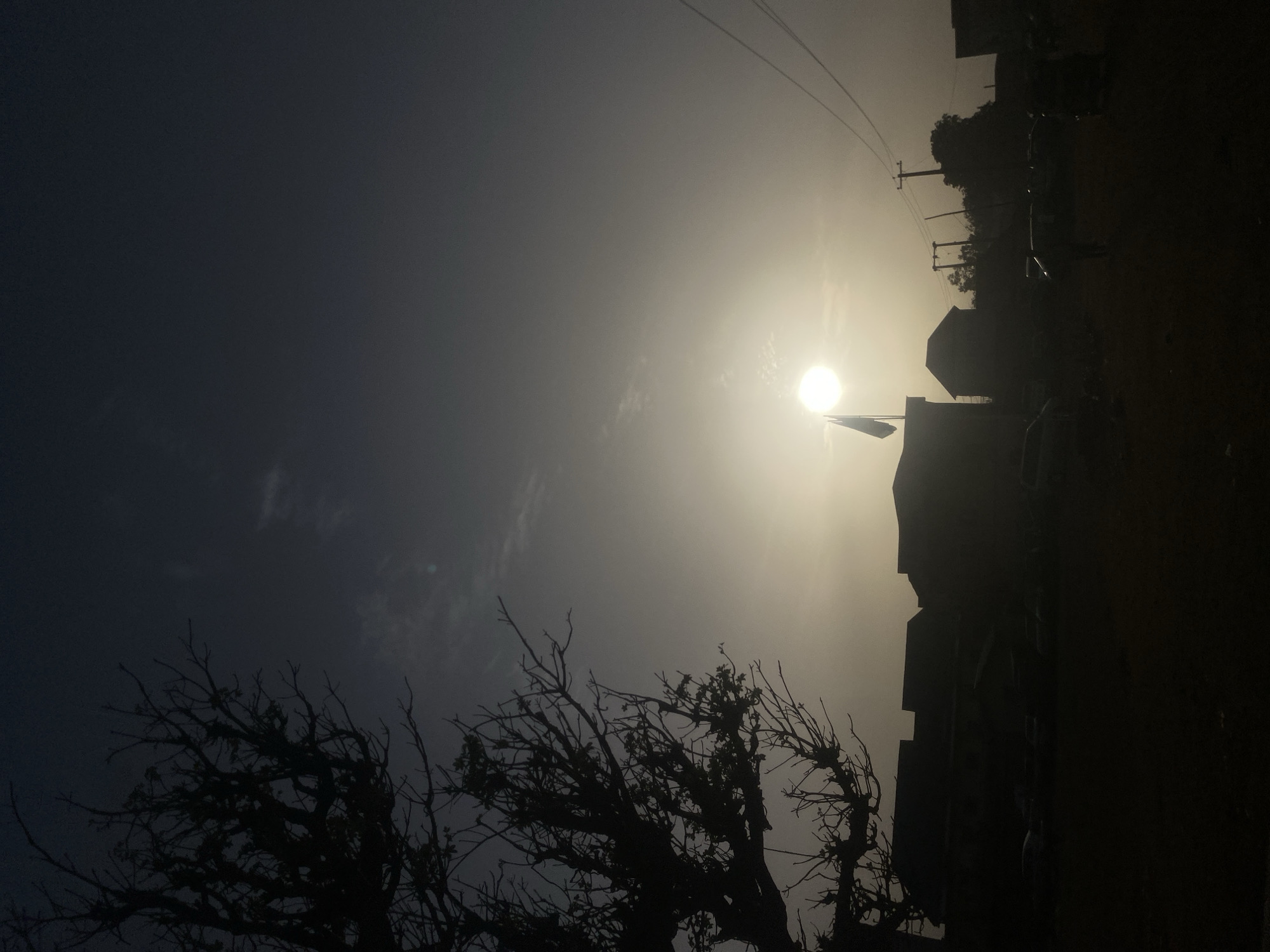 Dramatic sunrise captured in rural Nigeria creates striking silhouettes