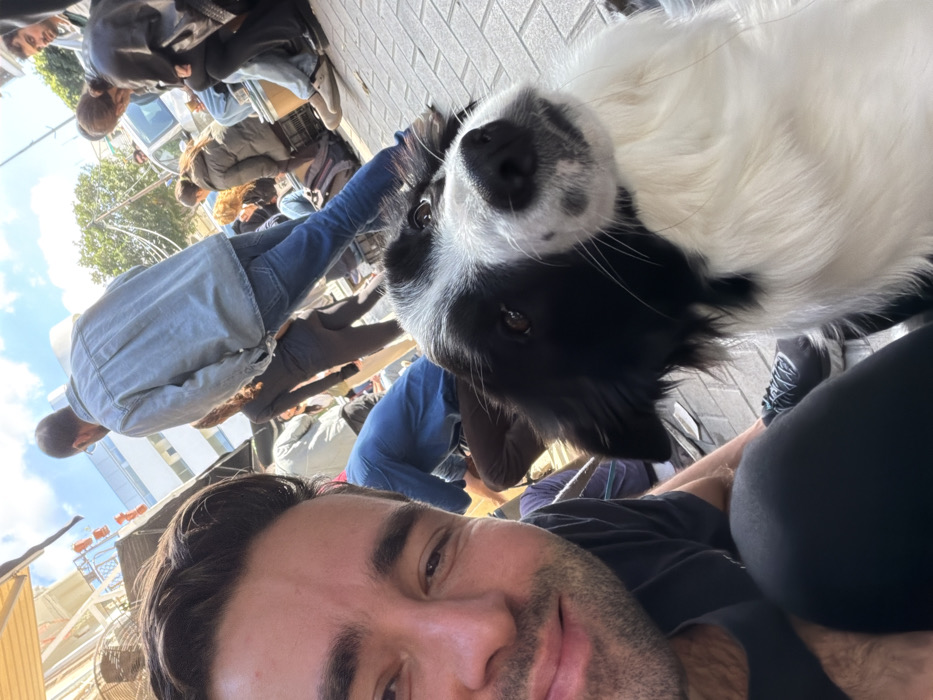 Morning street market scenes with dogs captured in Tel Aviv