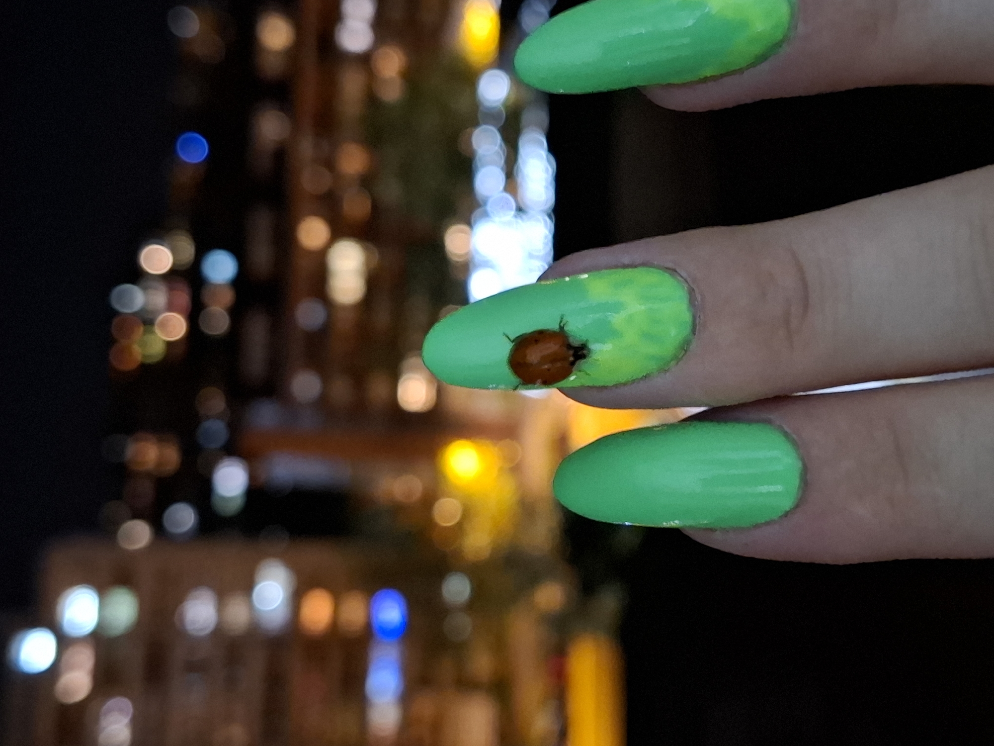 Green nail art with ladybug design spotted in Novi Sad