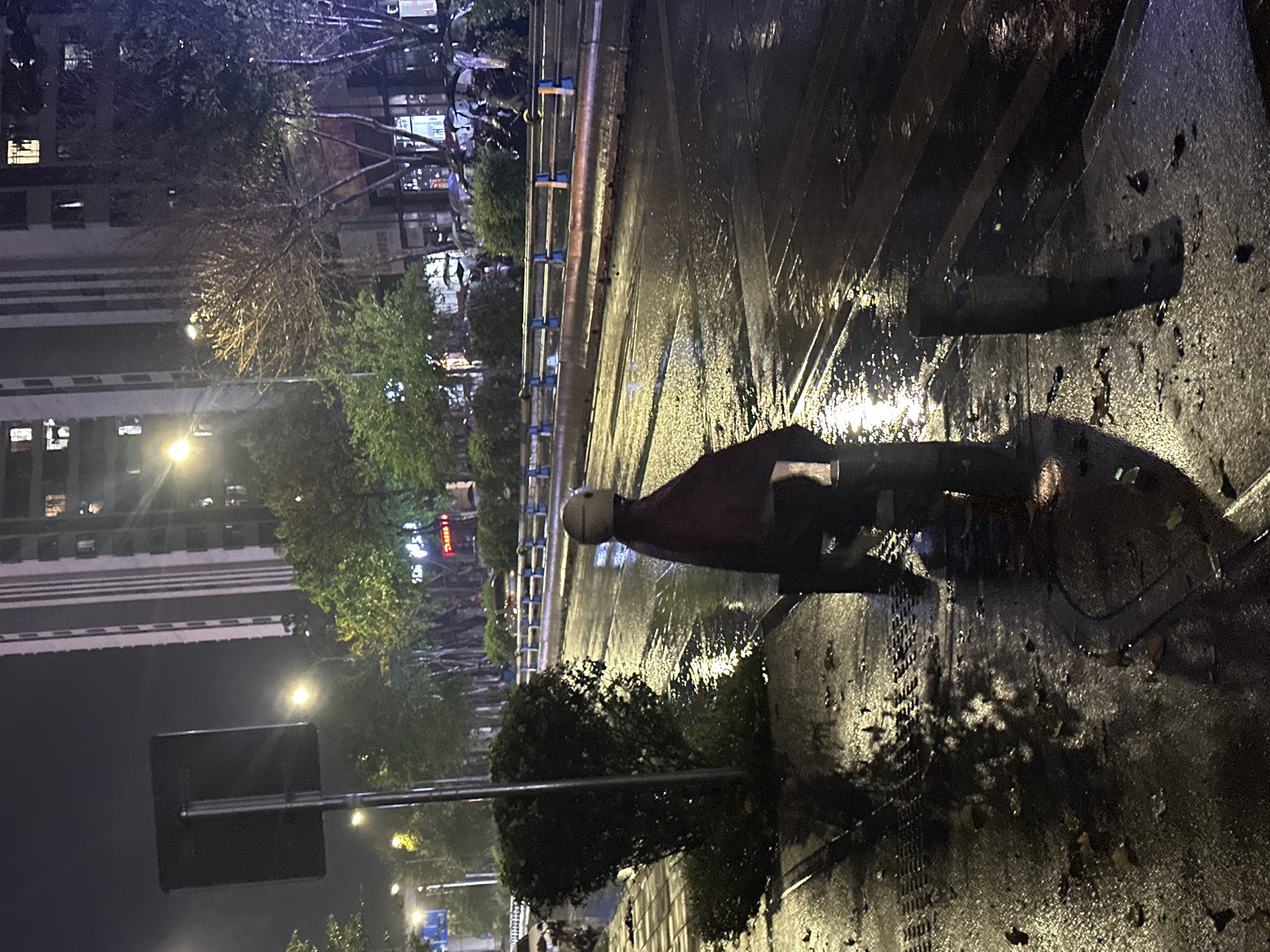 Rainy autumn evening captured in Chongqing High-tech Zone streets