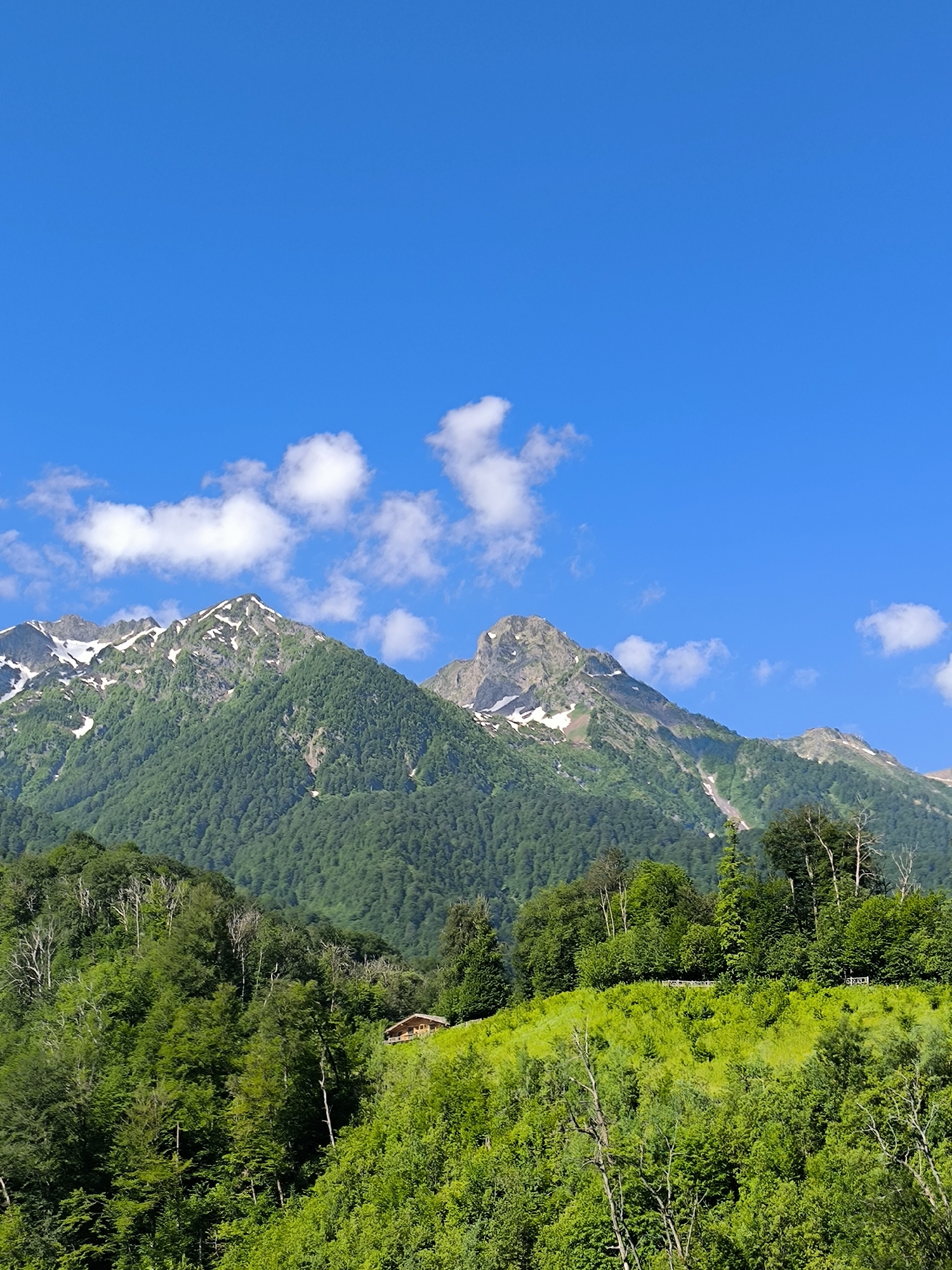 Clear-sky views over forested mountain slopes in Estosadok