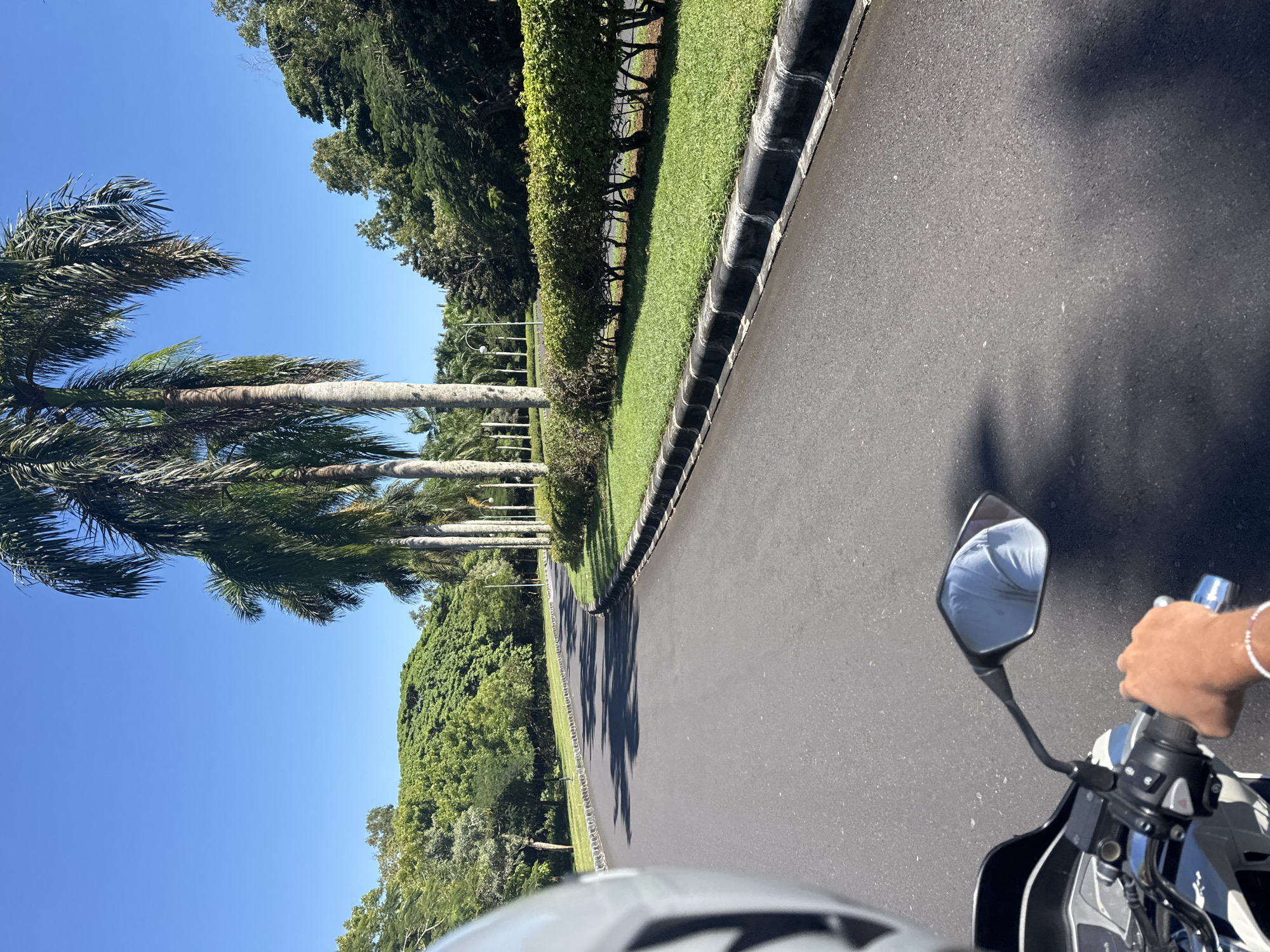 Motorcycle rider travels palm-lined coastal roads near restaurants