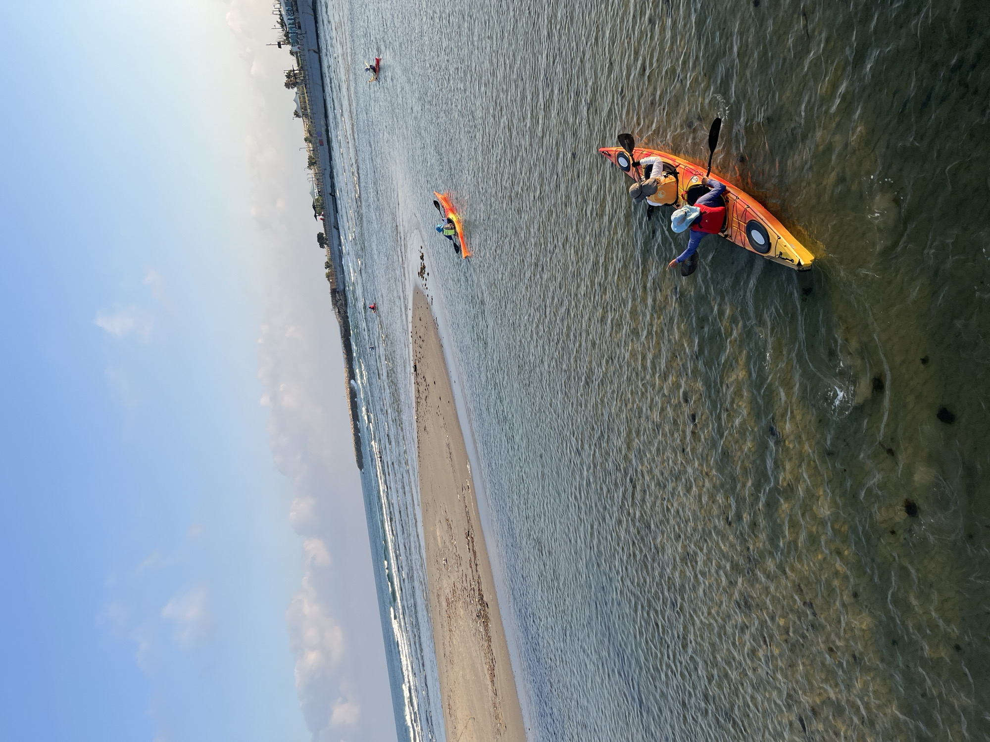 Kayaking the calm shallows near Tel Aviv's Yarkon estuary