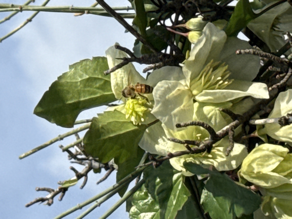 Nature walk documented through Israeli countryside landscapes and wildlife