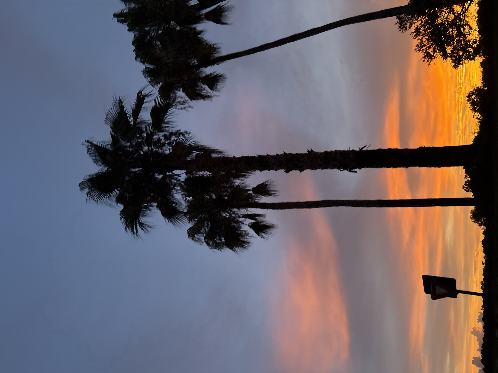 July 4th sunset lingers over North Port's palm-lined streets