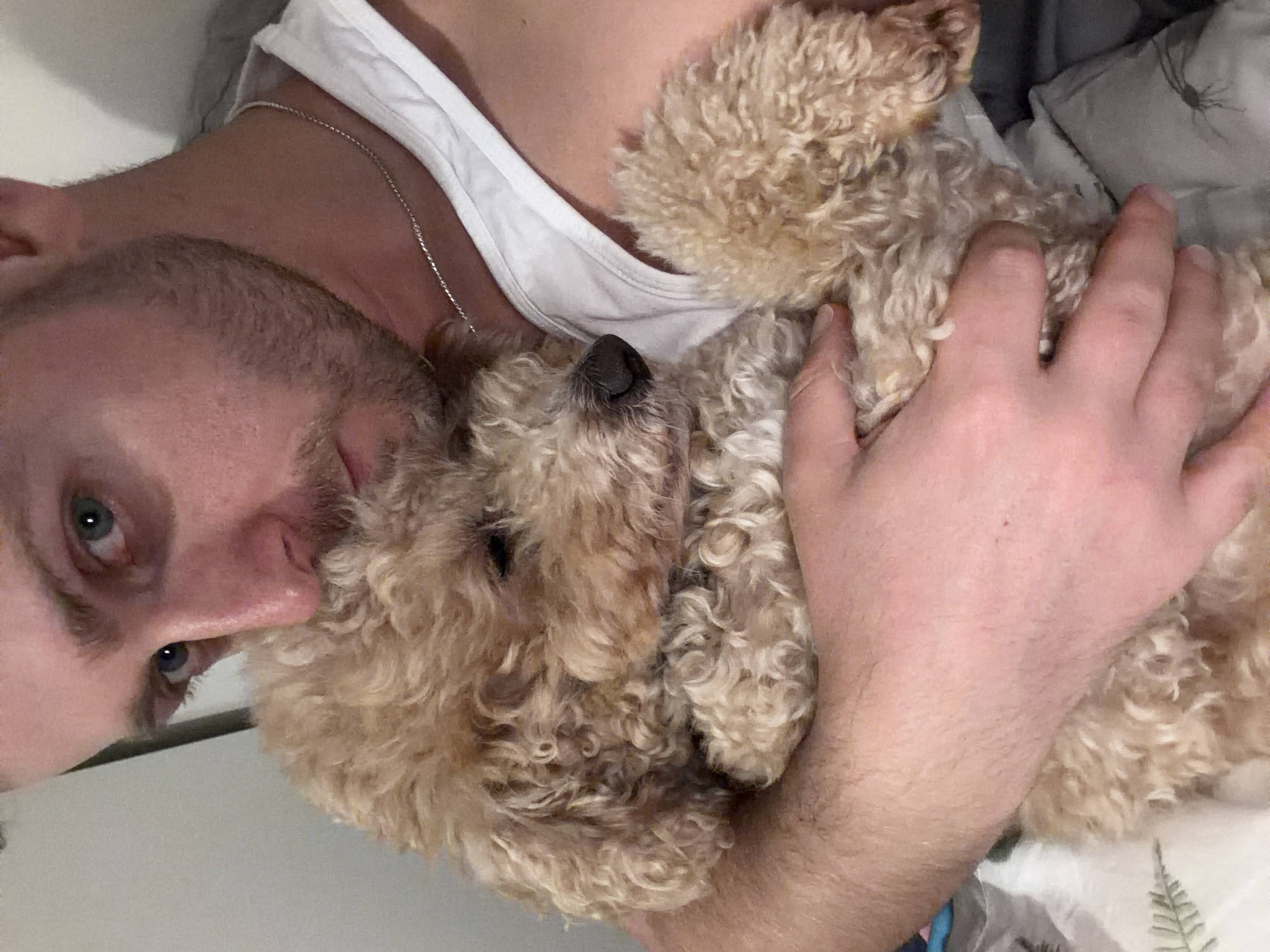 Londoners capture casual selfies with pets during evening hours