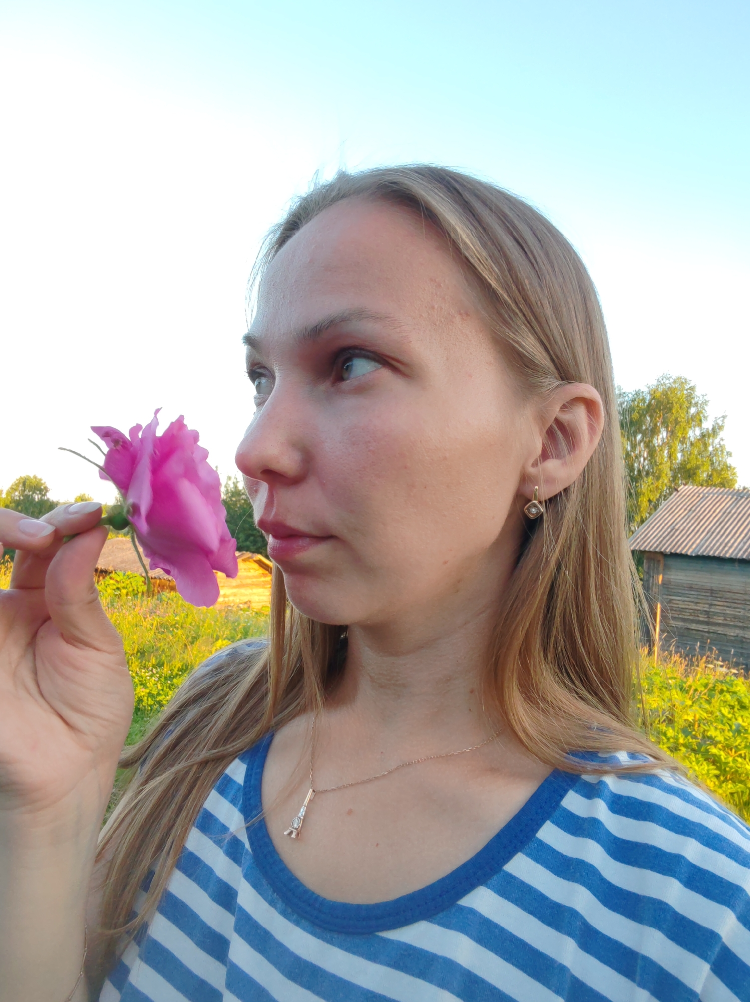 Pink rose, striped shirt, summer afternoon in Chukhloma
