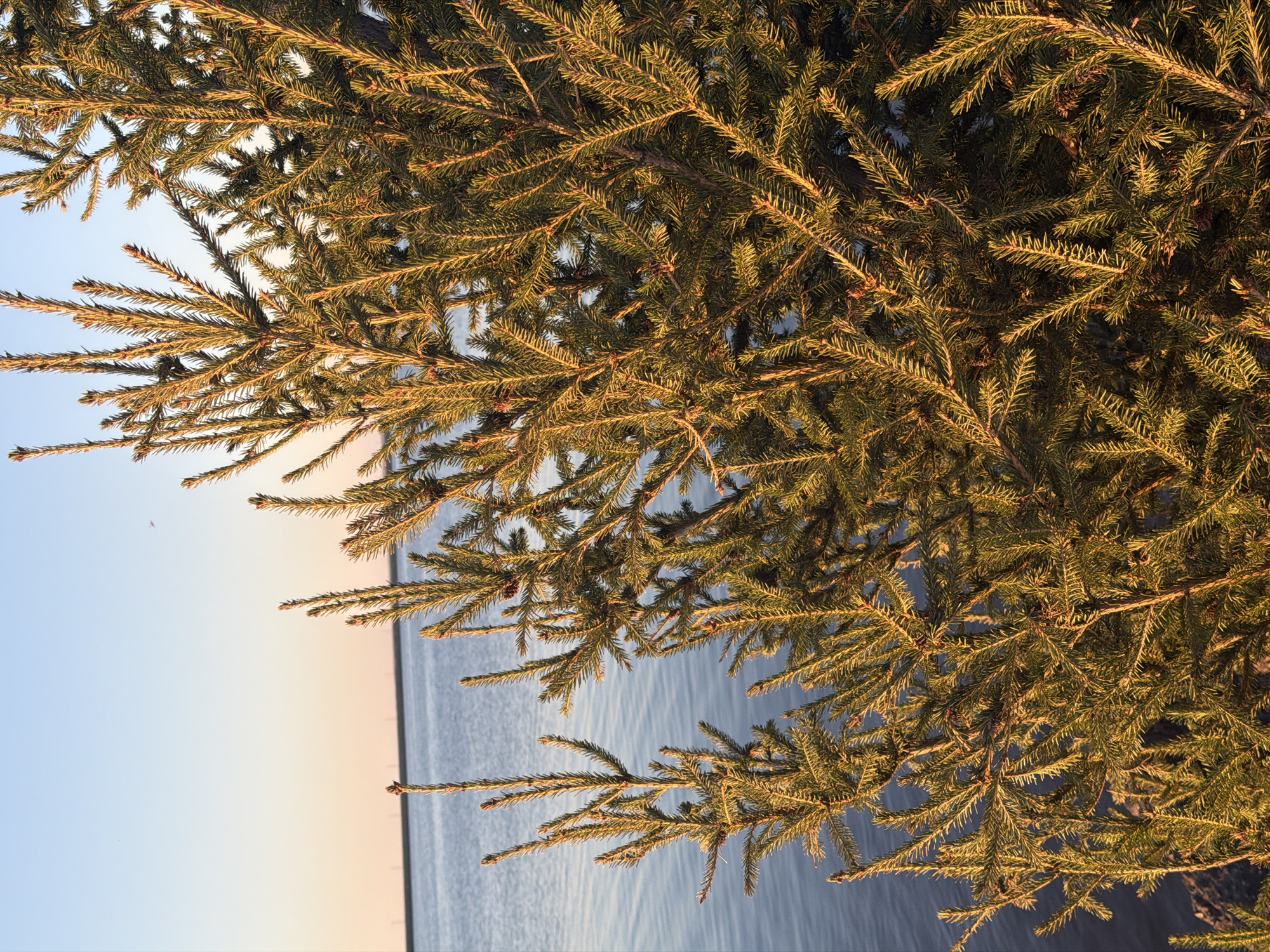 Sunset documented along Kama Reservoir shoreline in Chaikovsky, Russia