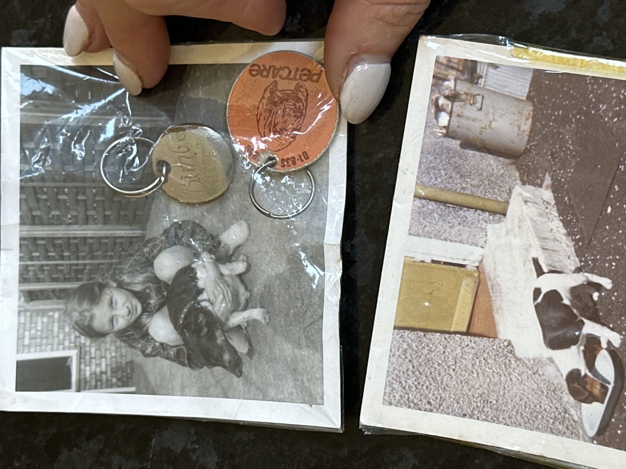 Person sorts through family photos and memorabilia in Wealden