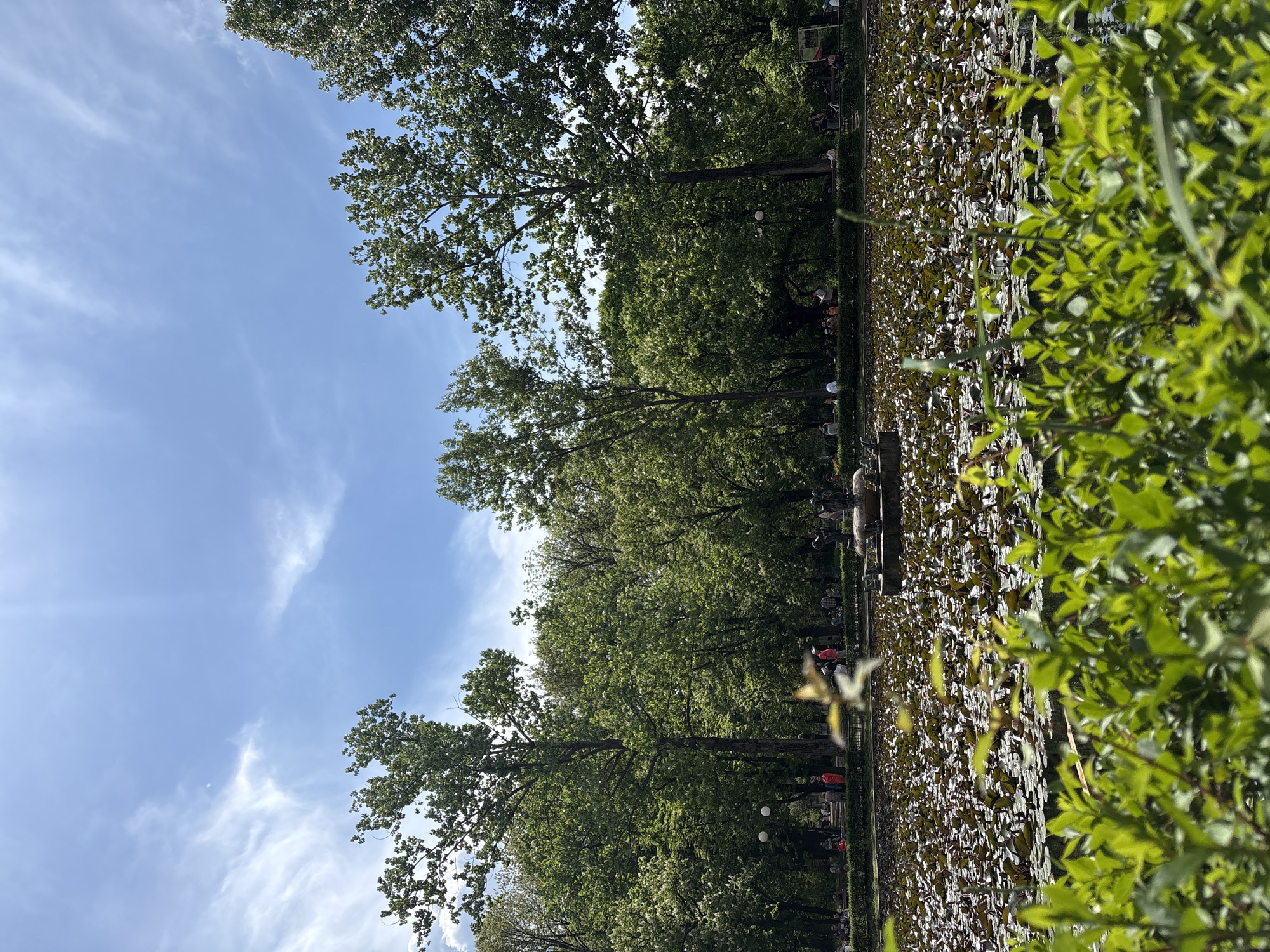 Witness documents hour-long journey through parks and wooded areas