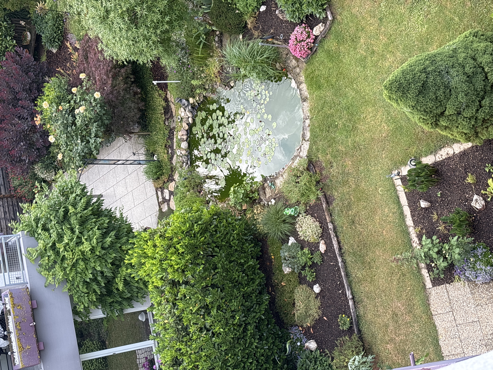 Urban garden and interior design elements documented by witness