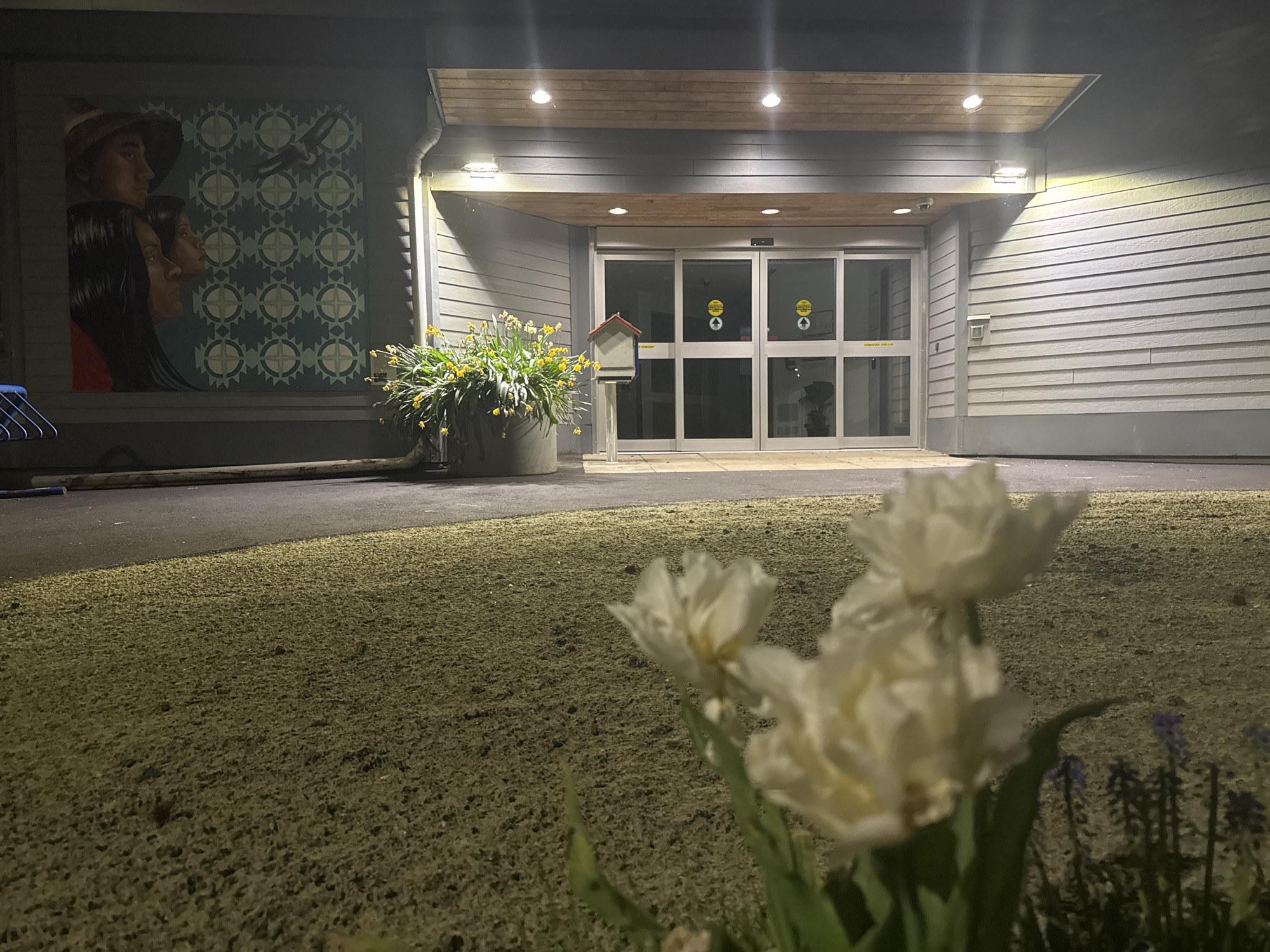 Late-night documentation of Surrey building with Indigenous murals, spring flowers