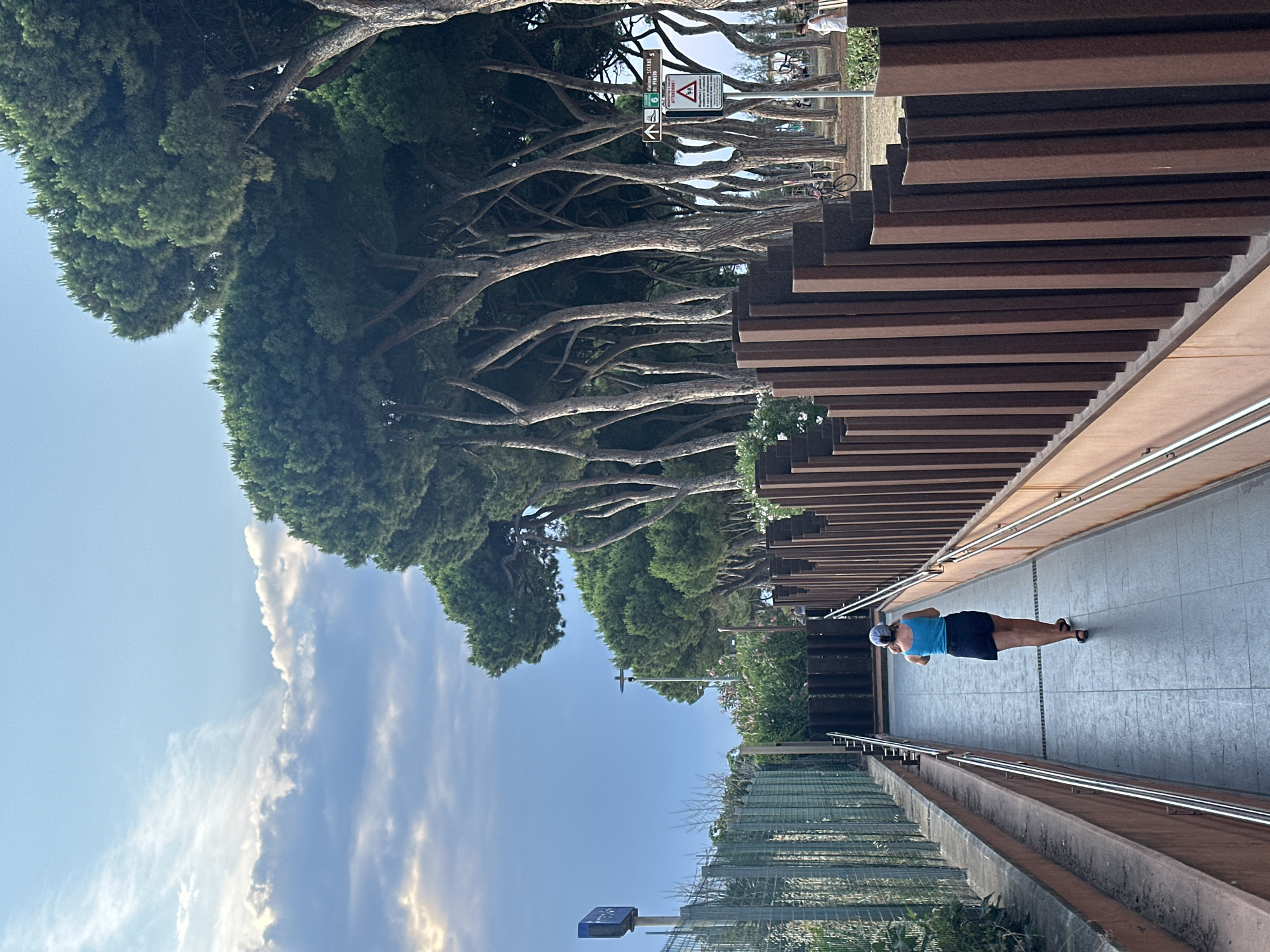 Afternoon scenes along Pineto's pine coast and streets