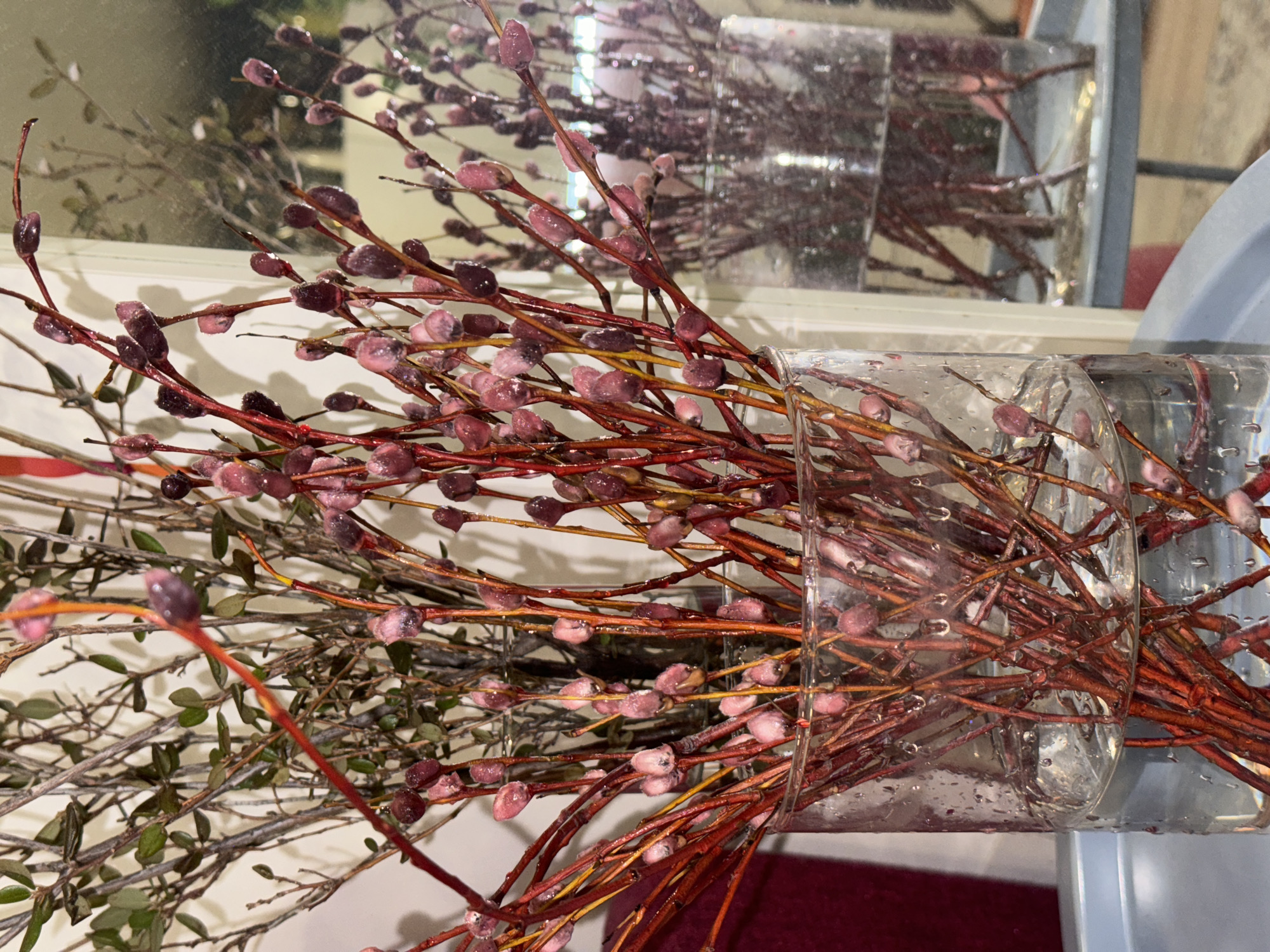 Pussy willow branches arranged with dyed water in Krasnoyarsk