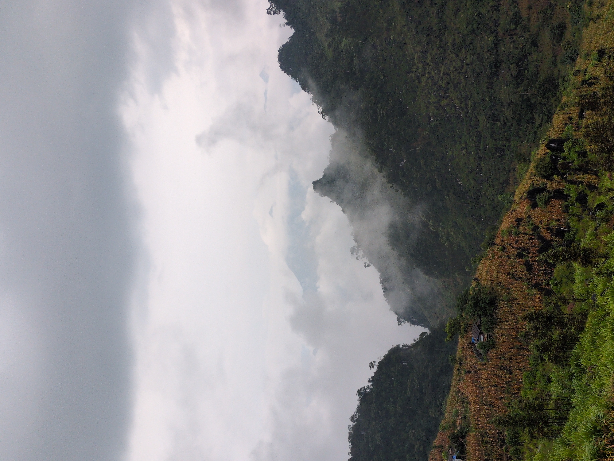 Misty mountain roads winding through Lũng Phìn's green highland hills