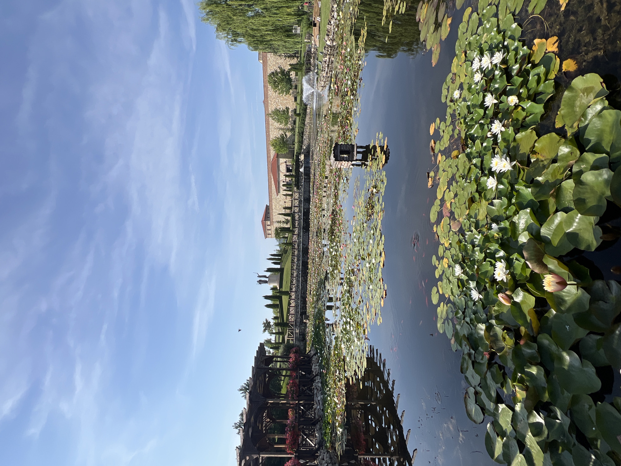 Lily ponds and stone architecture at a Bulgarian museum complex