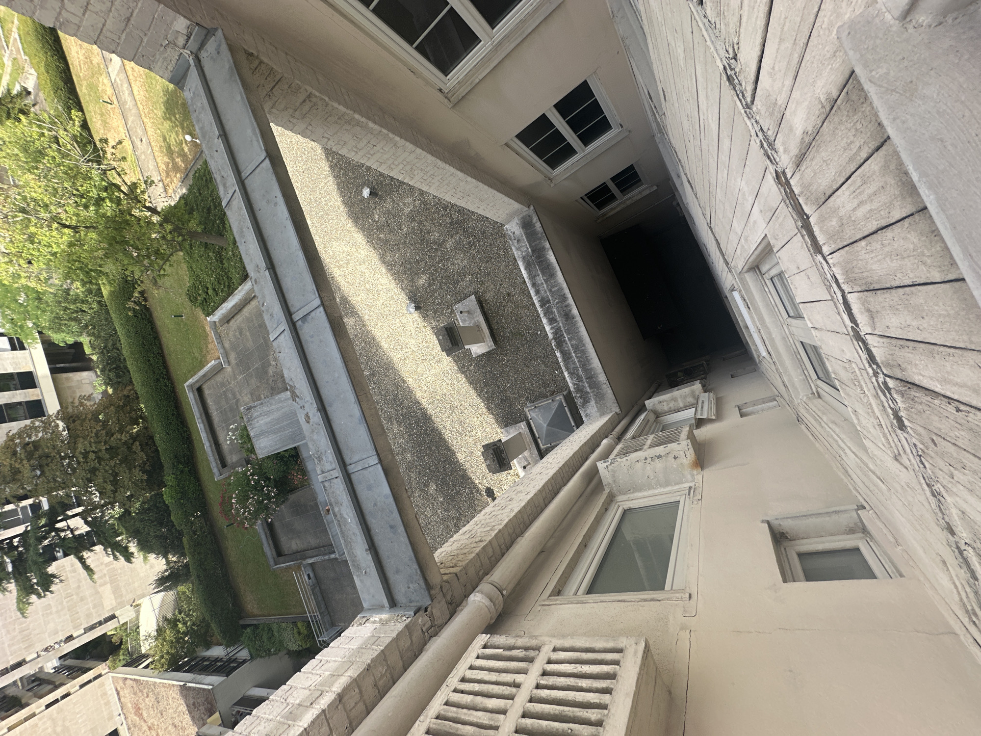 Lazy Paris apartment morning: sleeping cat, cameras, and courtyard views