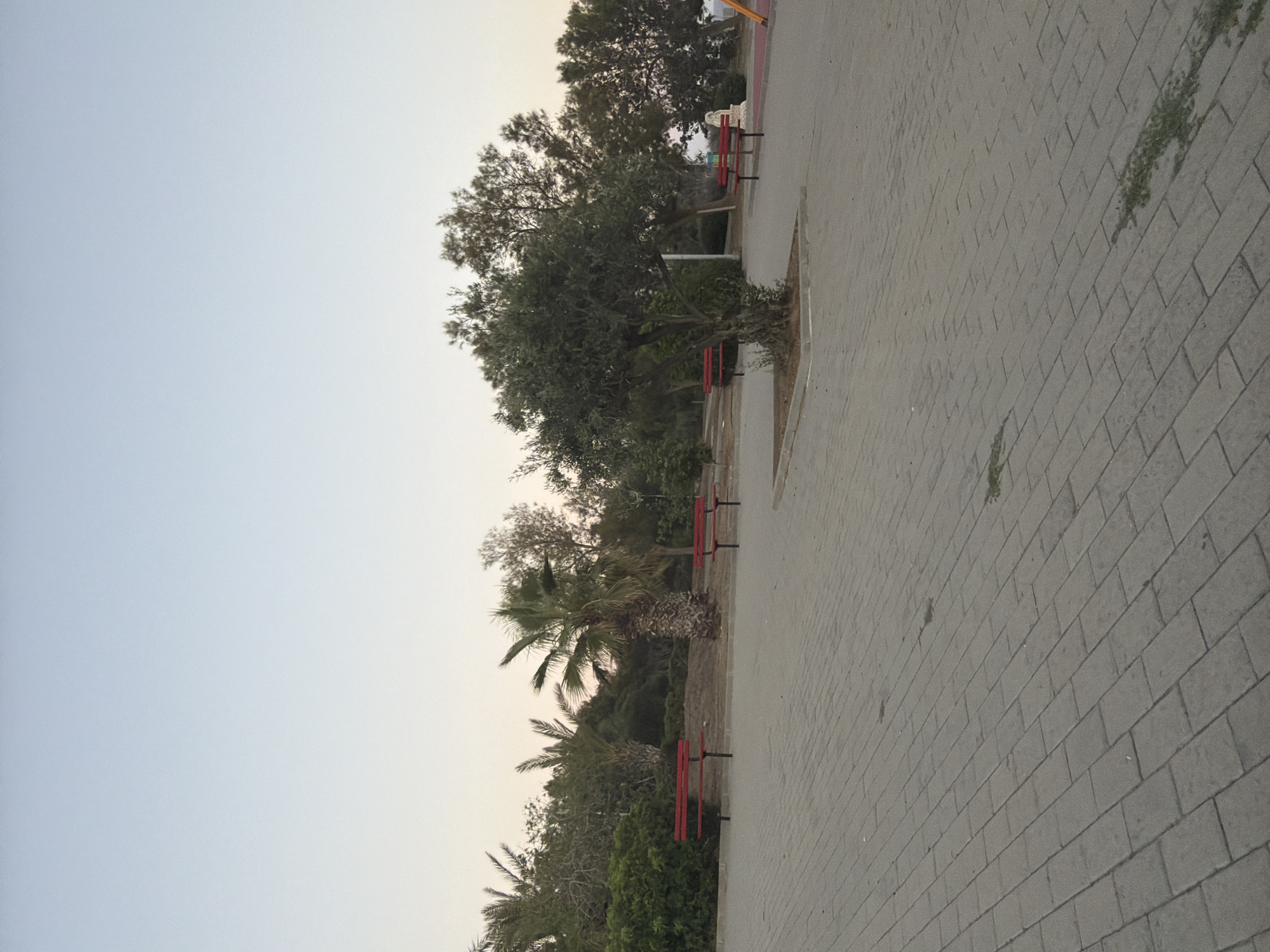 Evening stroll through Pervolia seaside park in Cyprus