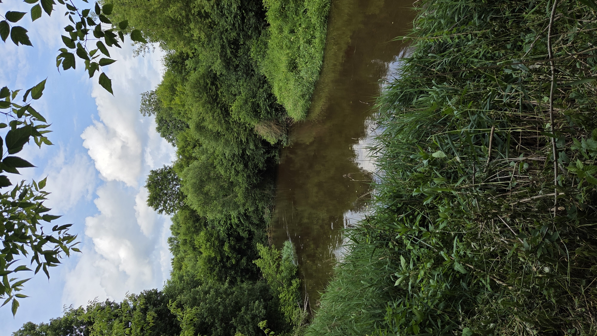 Slow afternoon exploring nature, paths, and flora in Cekule, Latvia