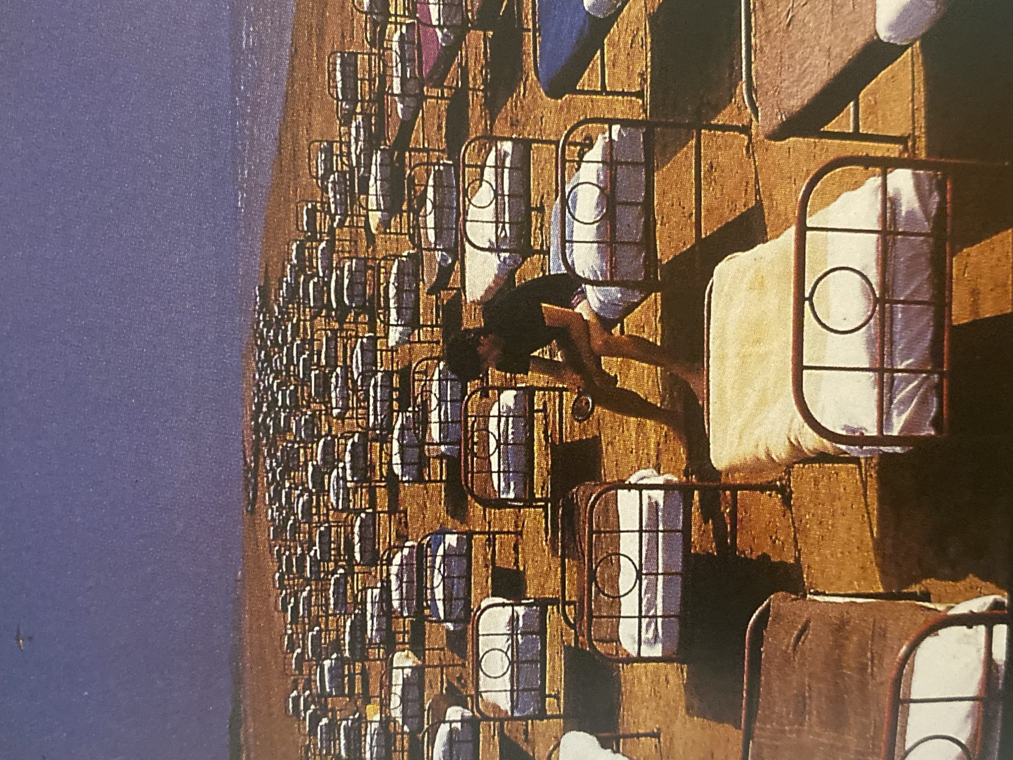 Outdoor bed installation documented in Rusanovo, Russia