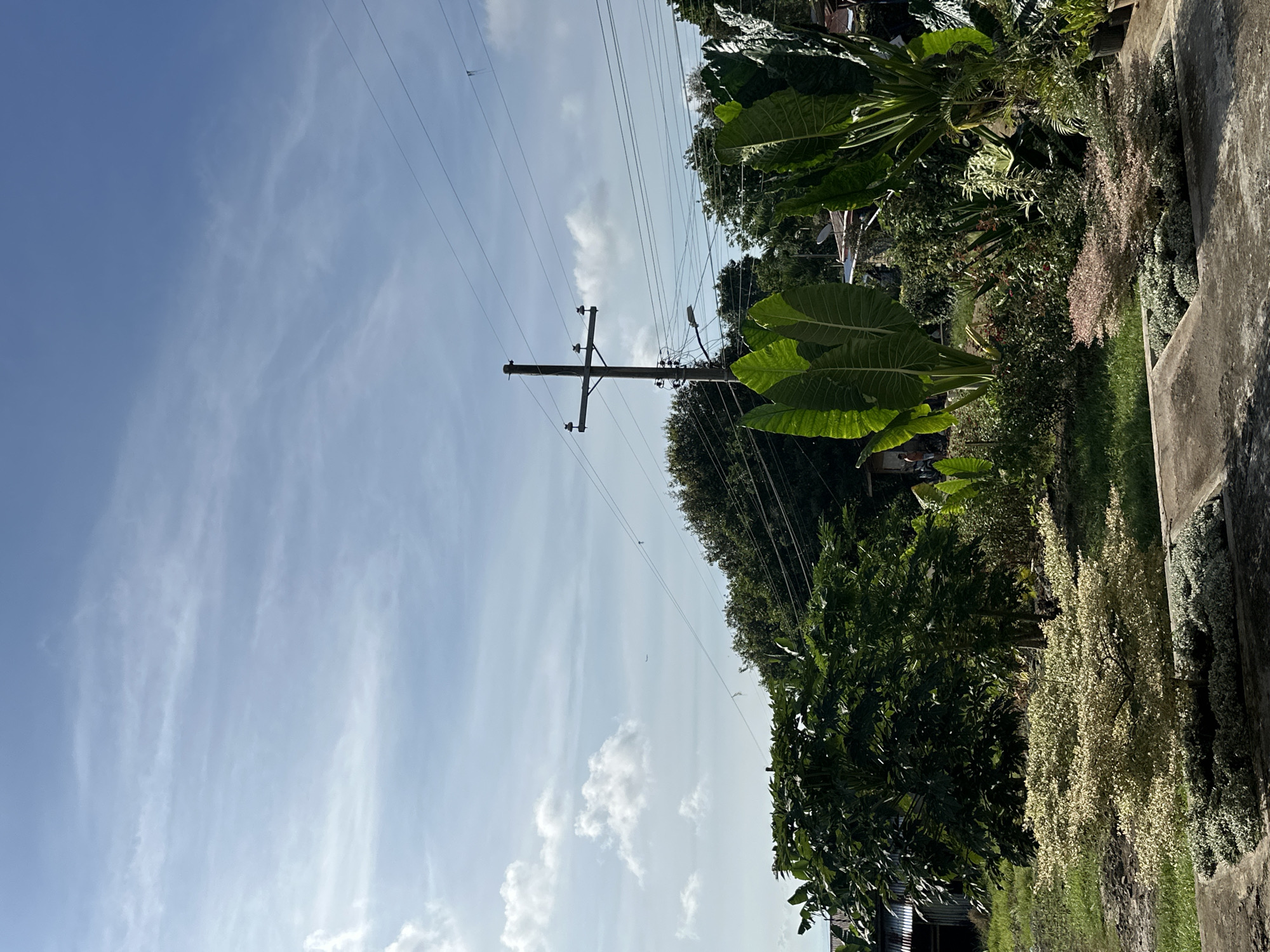 Casual moments captured across Davao City's gardens and streets