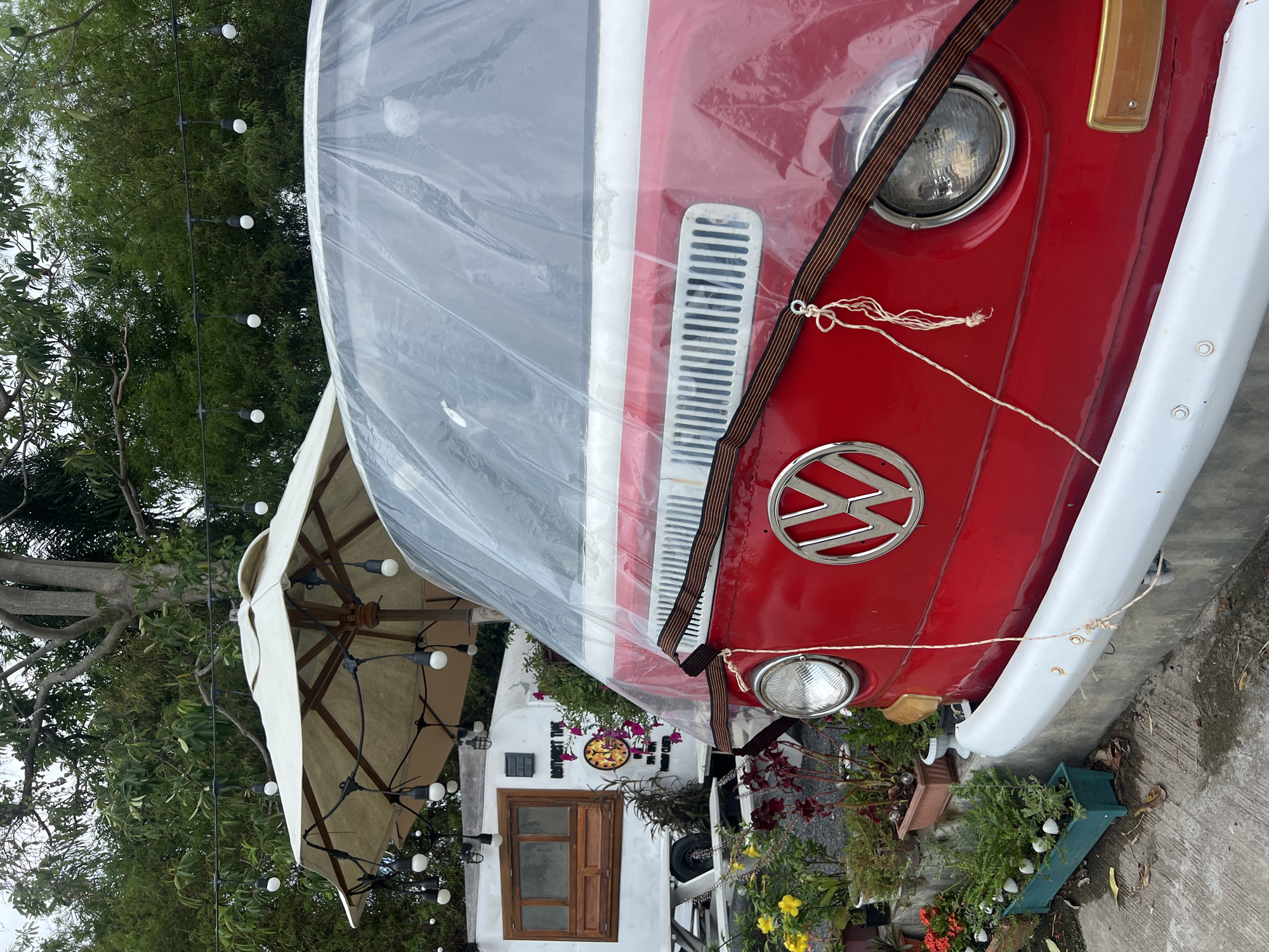 Witness documents tropical outdoor scenes with vintage vehicles and flora