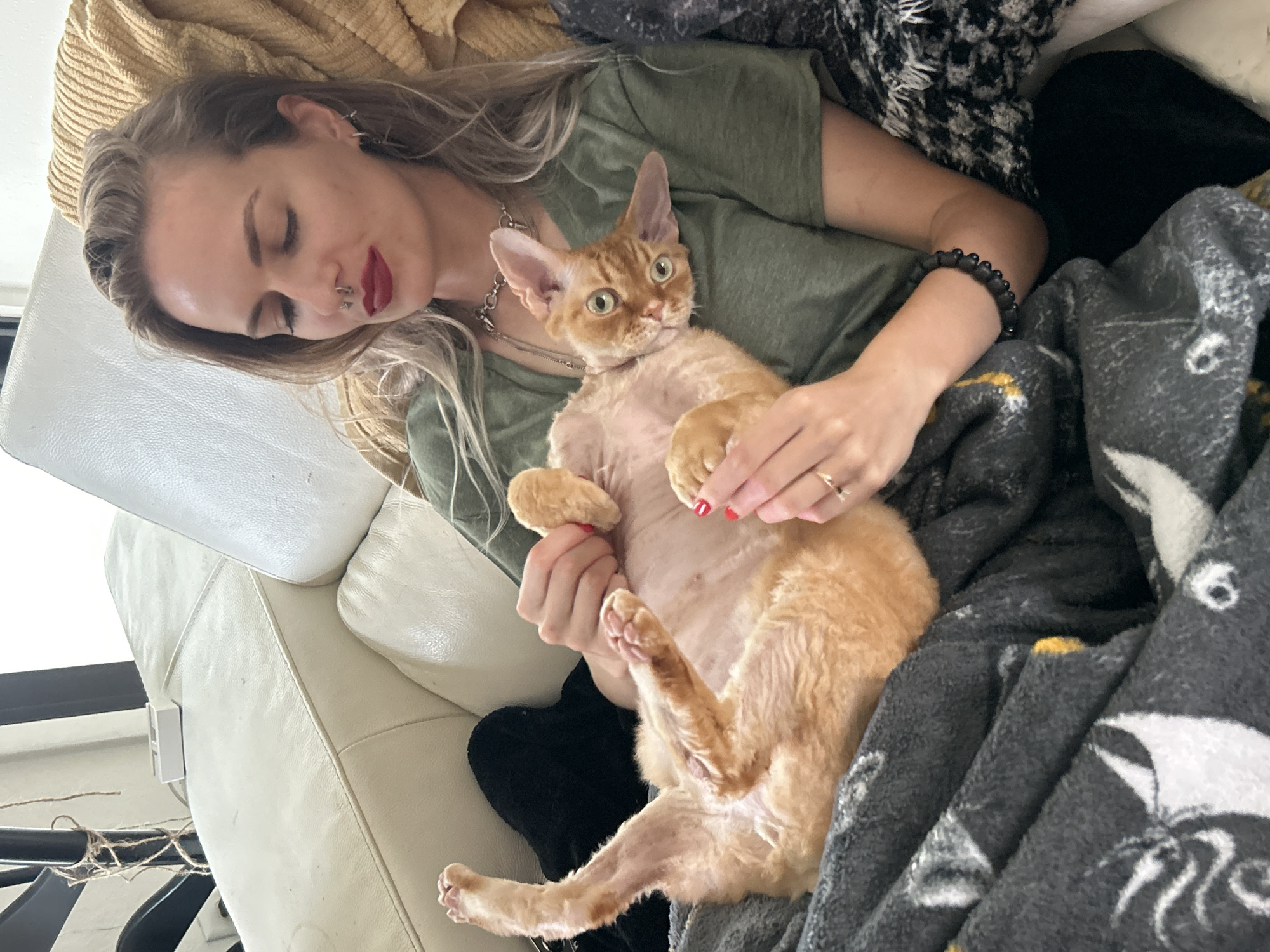 Cape Coral resident captures evening pet moments with cat, centipede