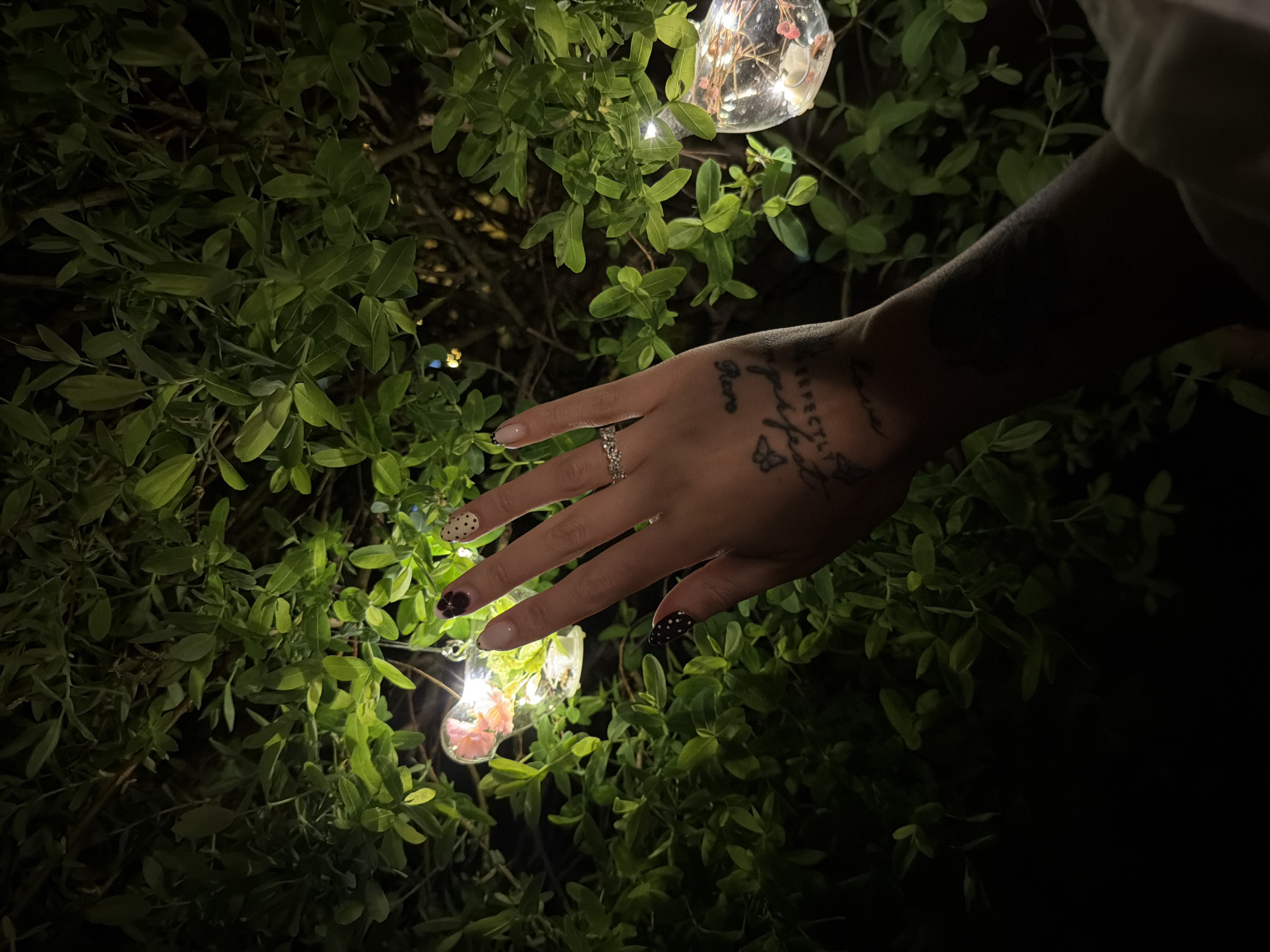 Evening garden walk with cats captured in Bistritsa