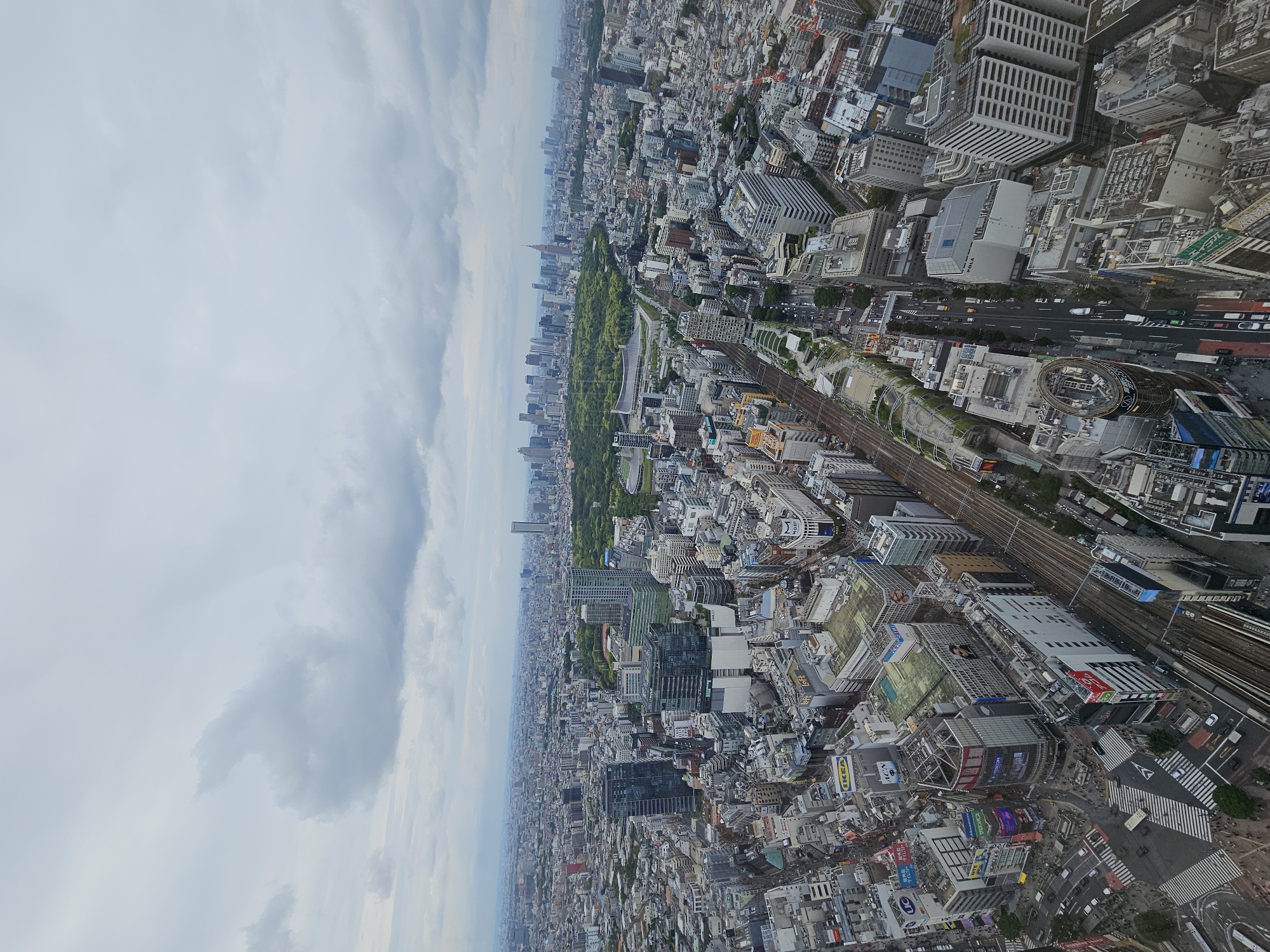 Aerial cityscape with central park observed under overcast skies