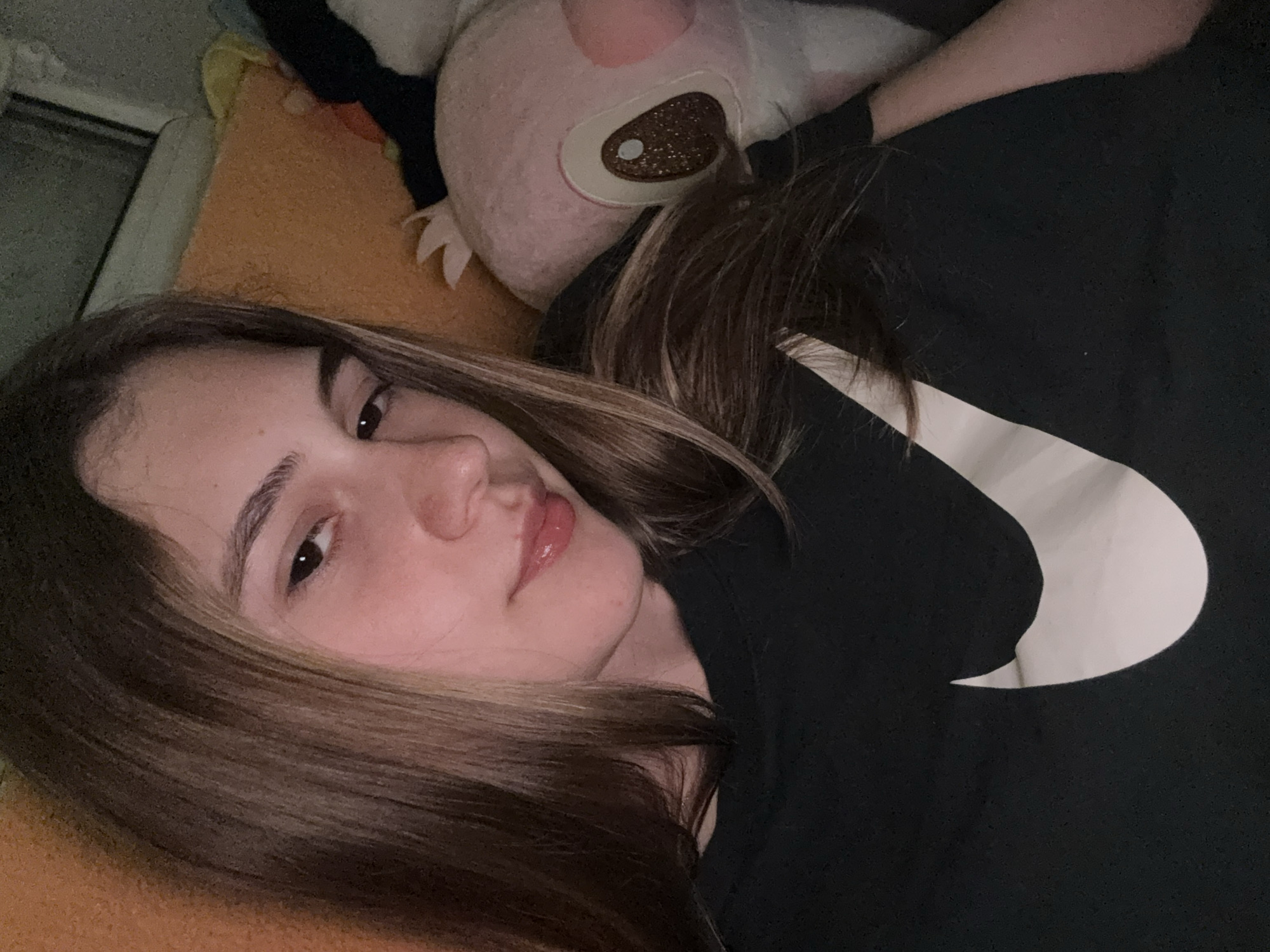 Woman documents quiet evening with plush toy collection in Bulgaria