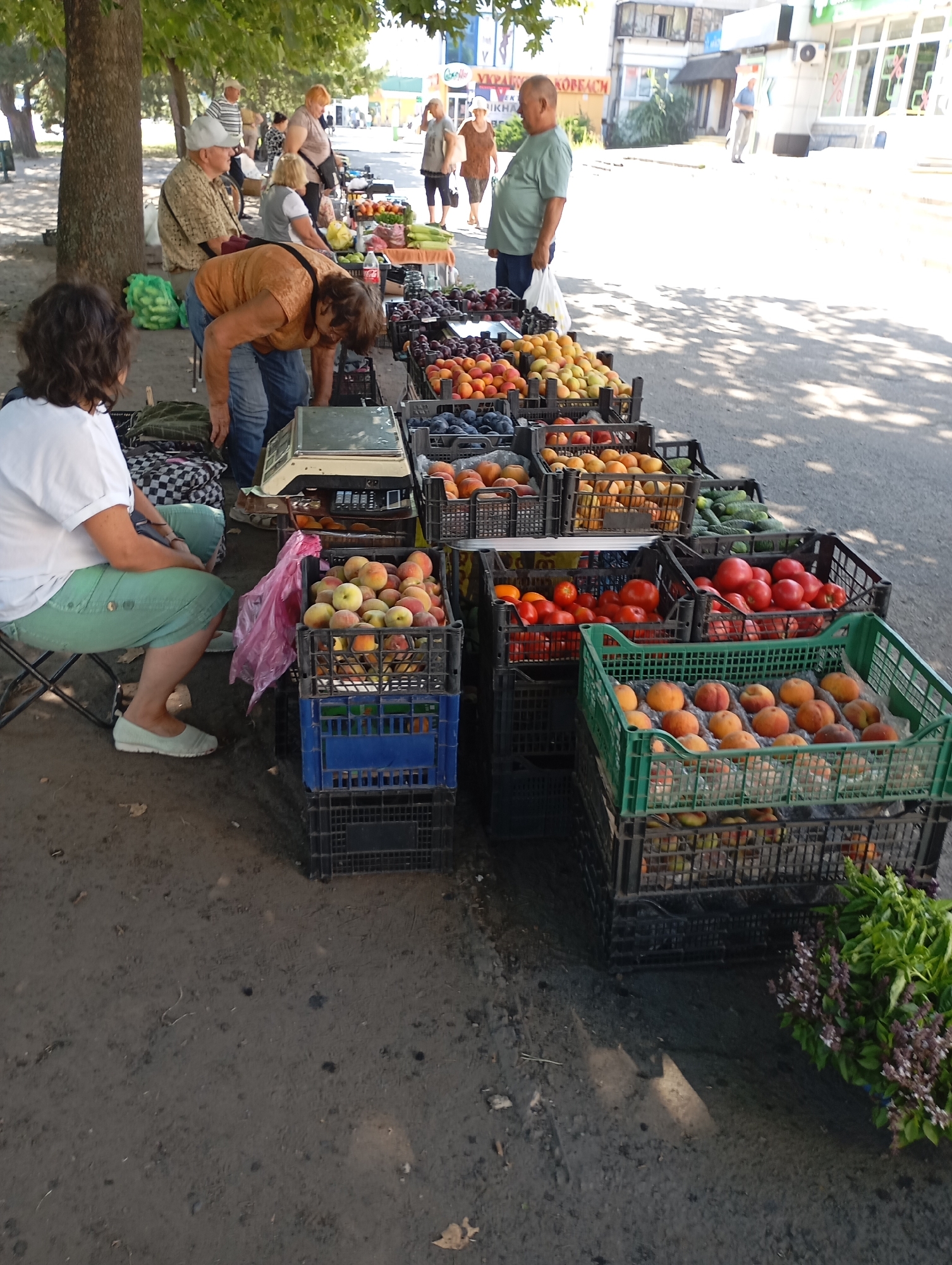 Pigeons and produce at a Horishni Plavni street market