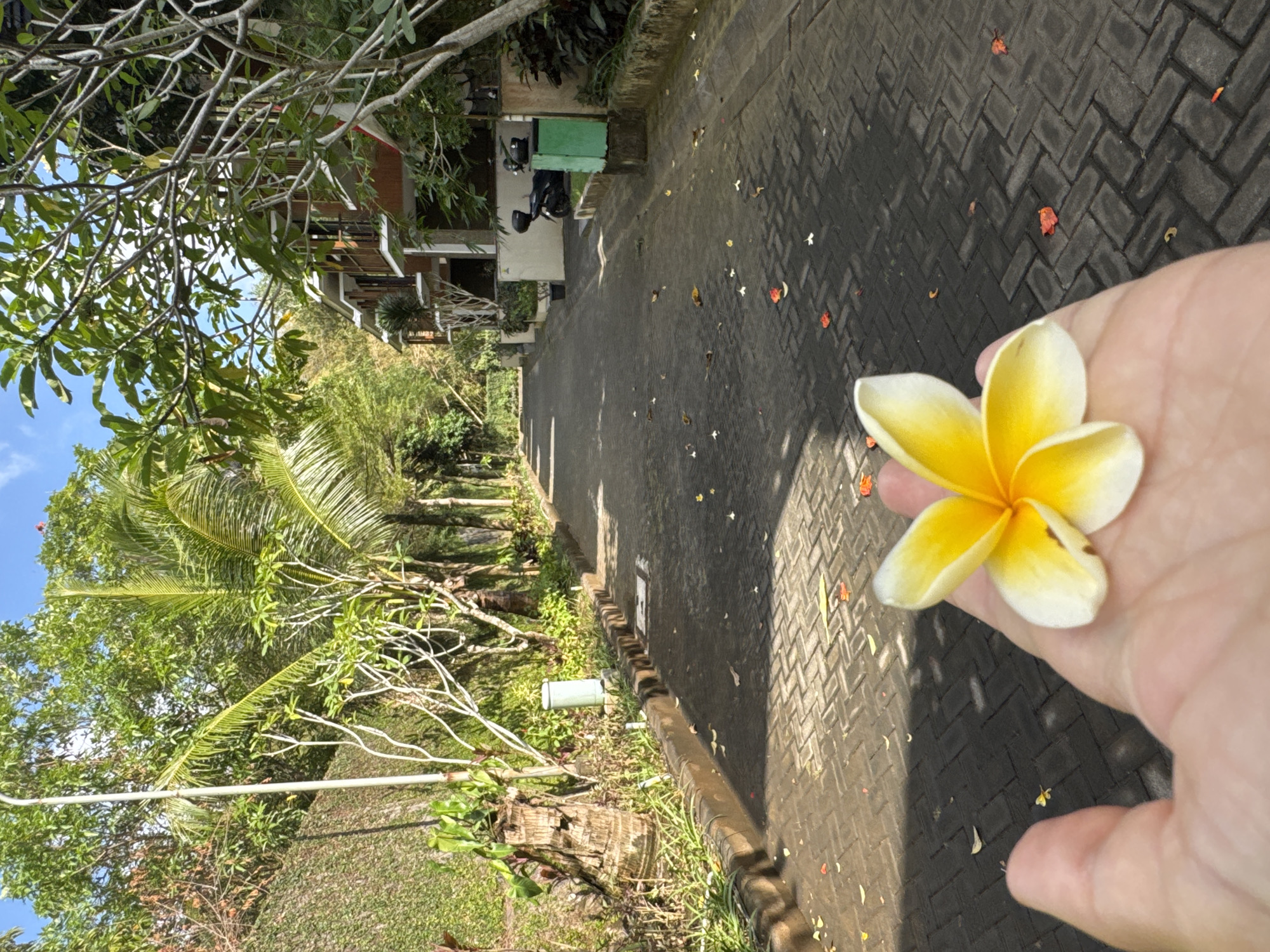Strolling a lush, frangipani-scented walkway in Kuta Selatan