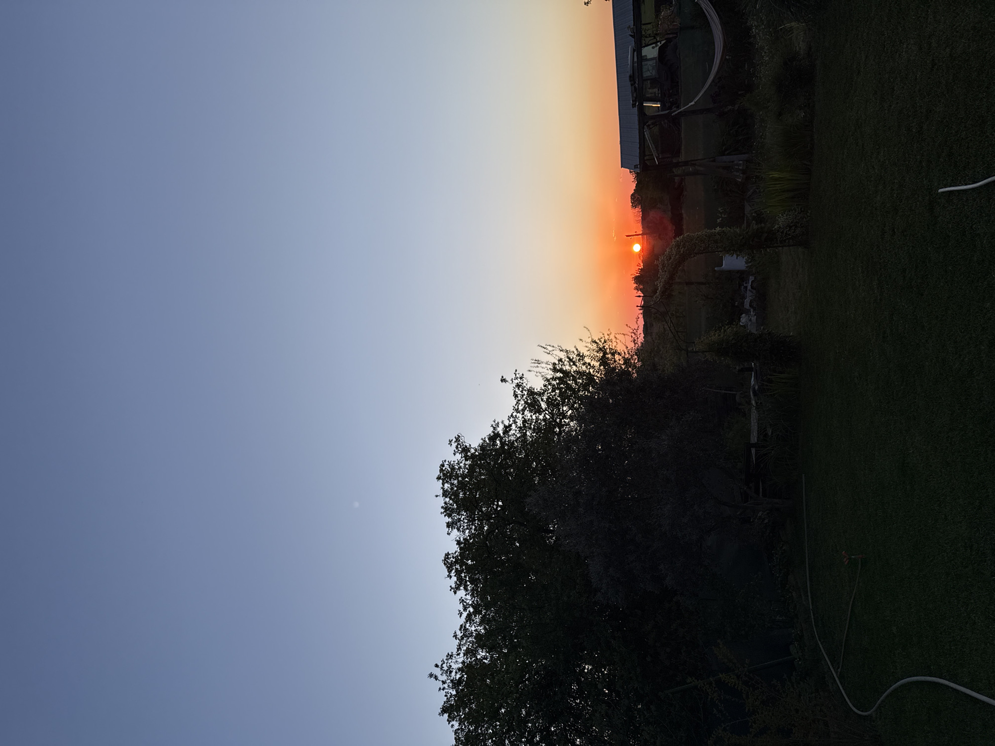 Sunset observed over treeline in Generalovo, Bulgaria