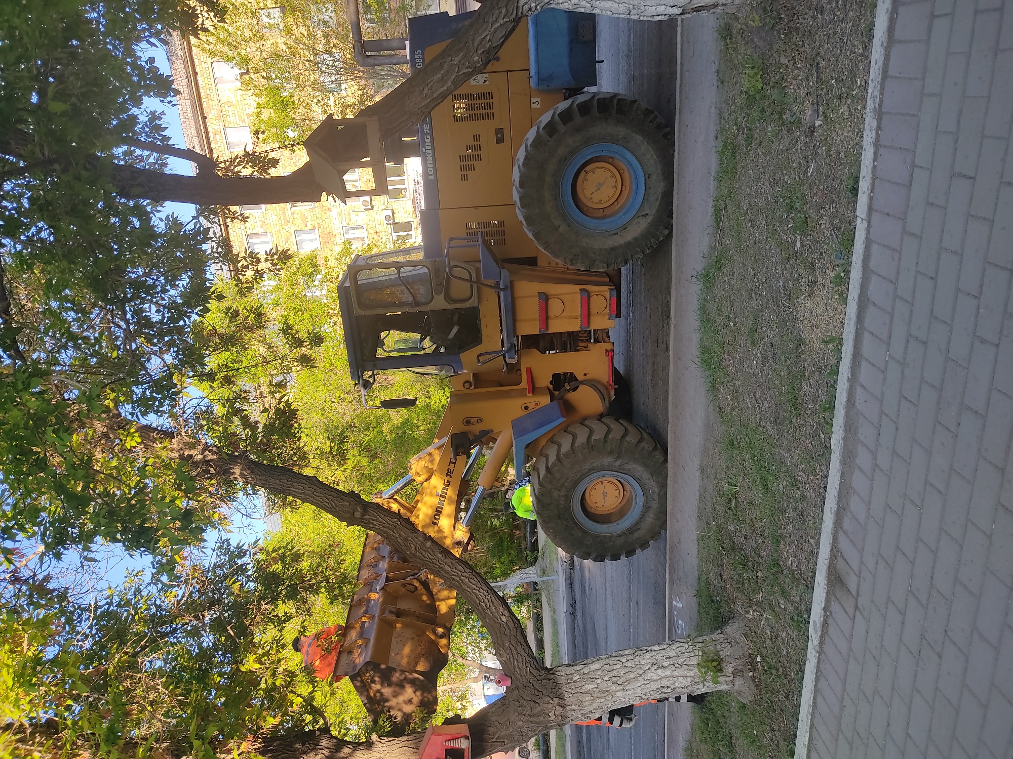 Urban construction activity and street maintenance observed across city