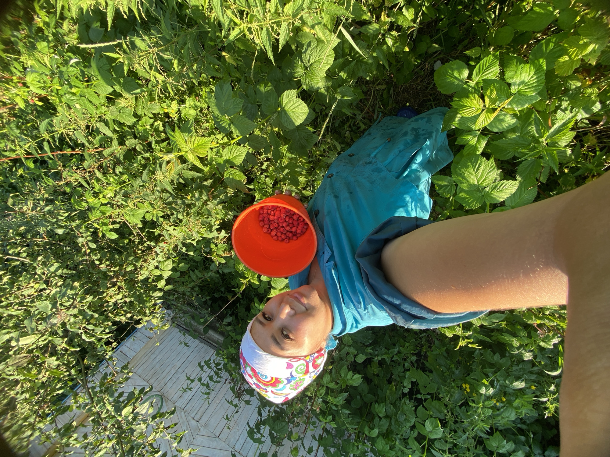 Summer garden morning: raspberries, wildflowers, and selfies in rural Russia