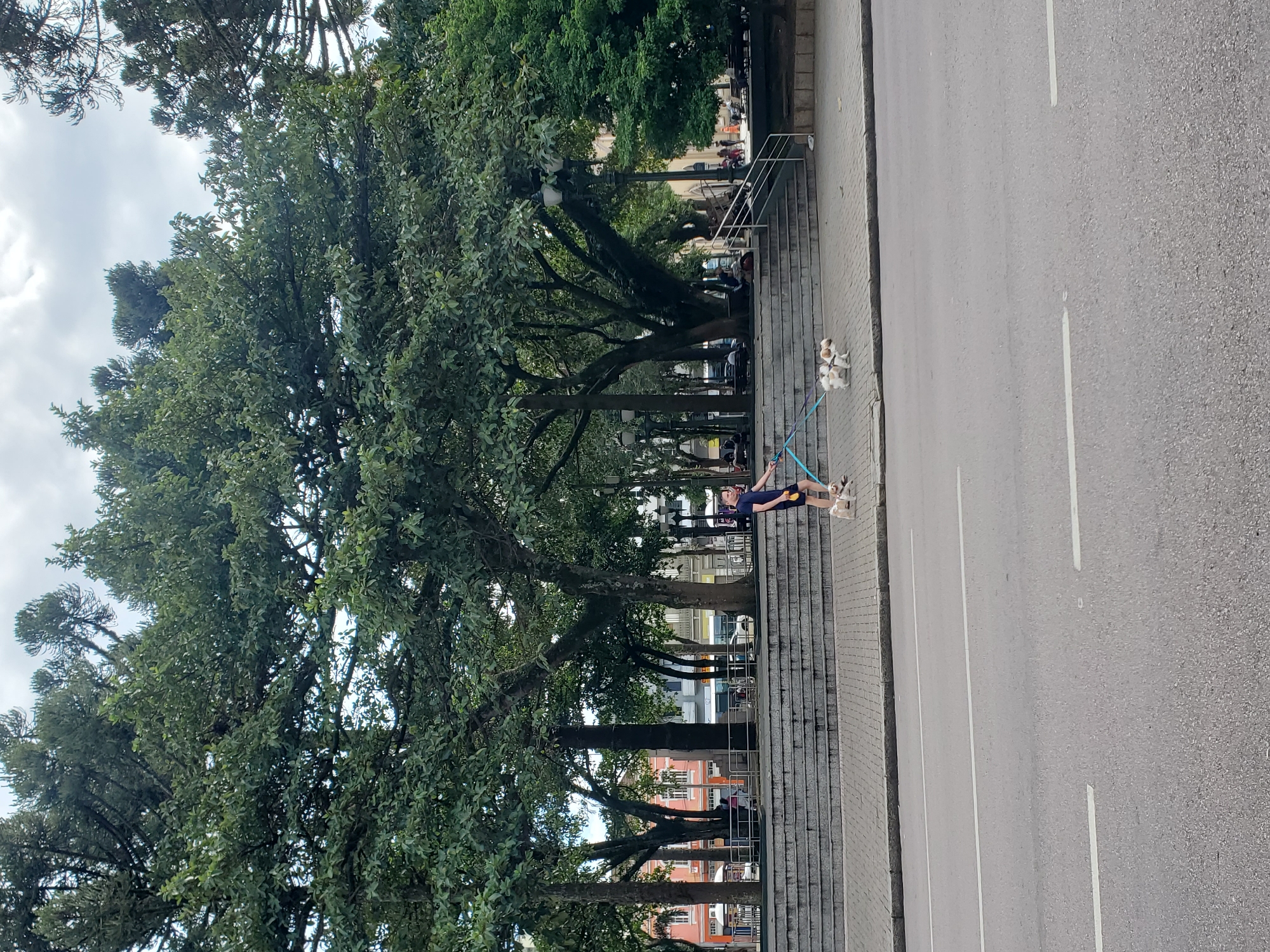 Midday market activity and street life documented in Curitiba