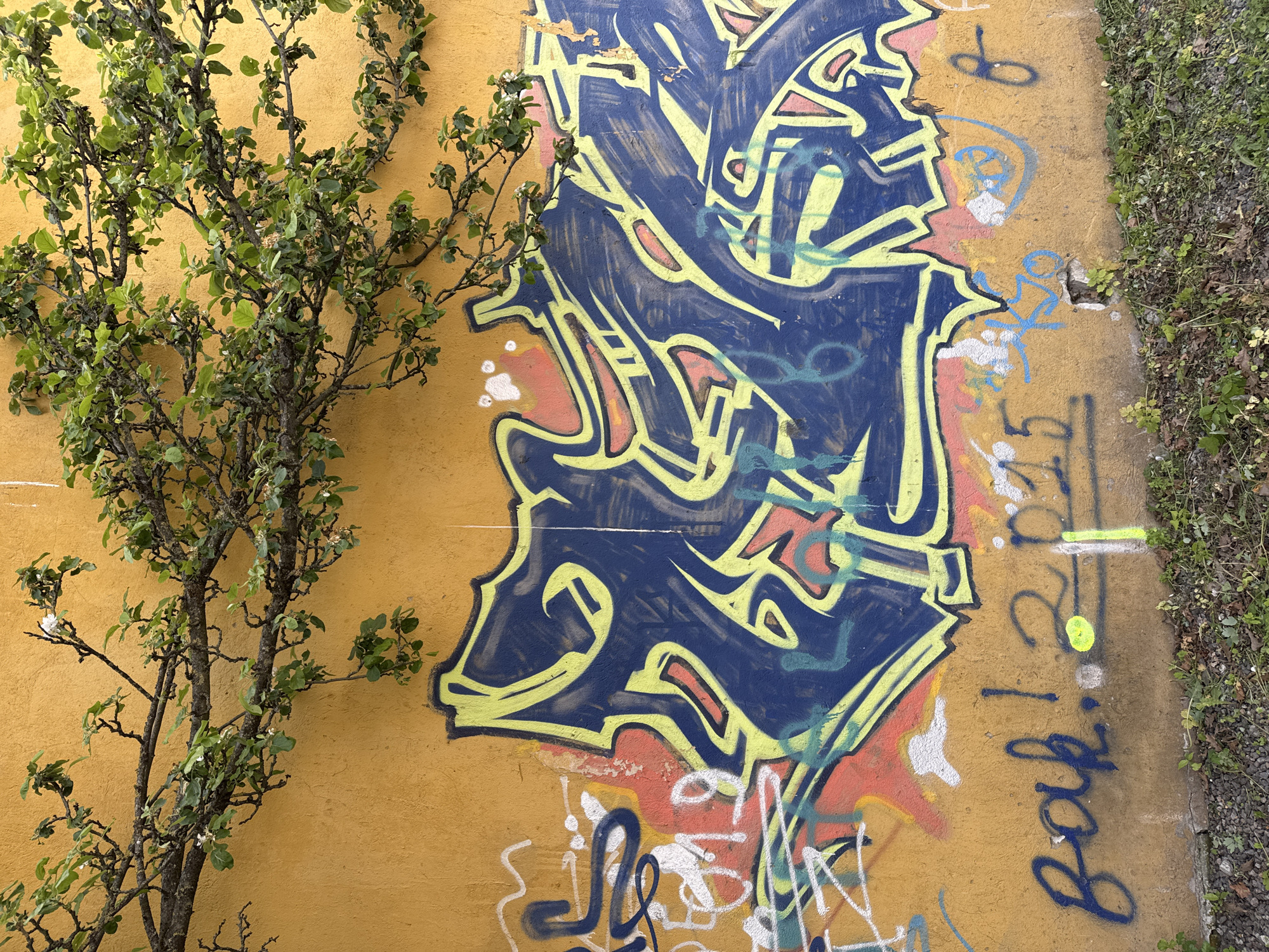Street art and spring blooms documented in Tallinn