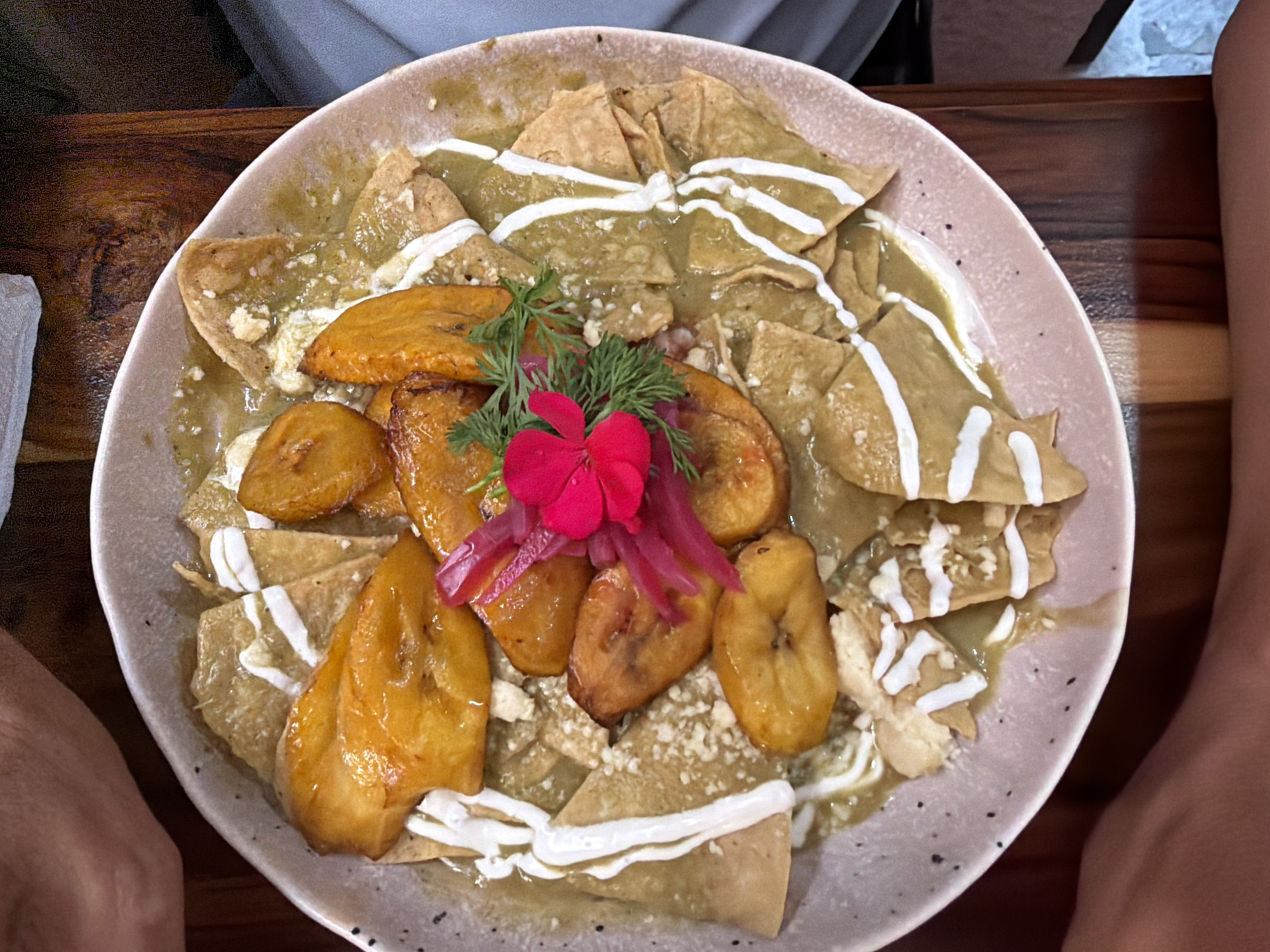 Restaurant diners photograph multiple chilaquiles dishes during afternoon meal