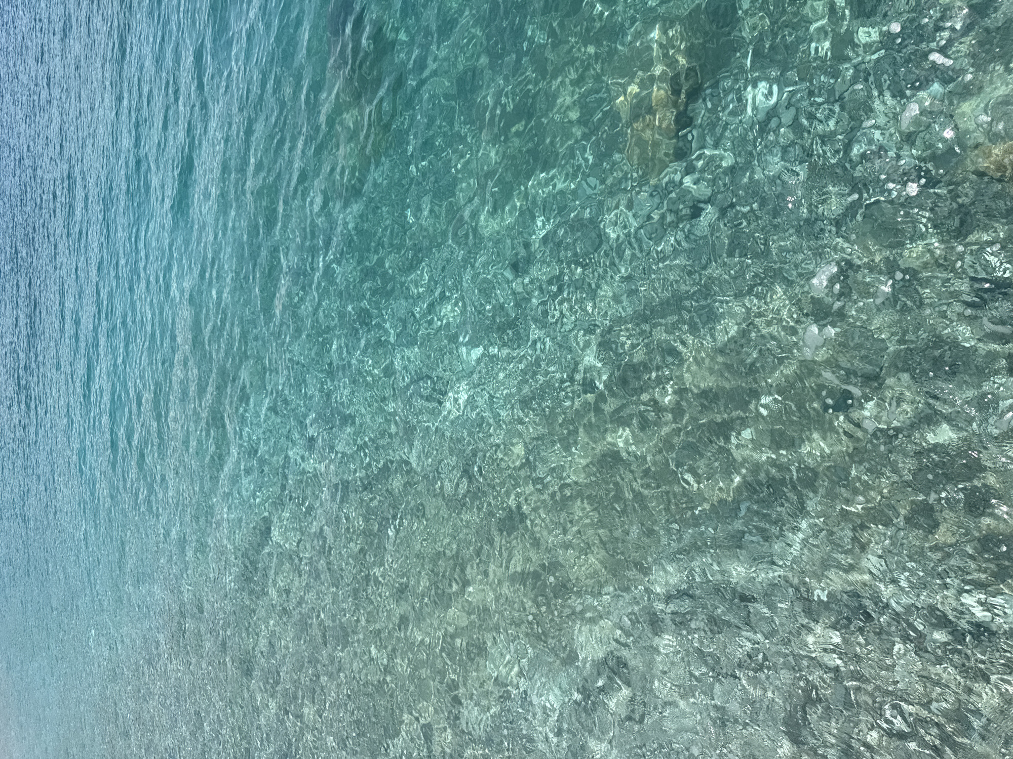 Witness documents peaceful Adriatic coastal scenes with sailboat in Montenegro