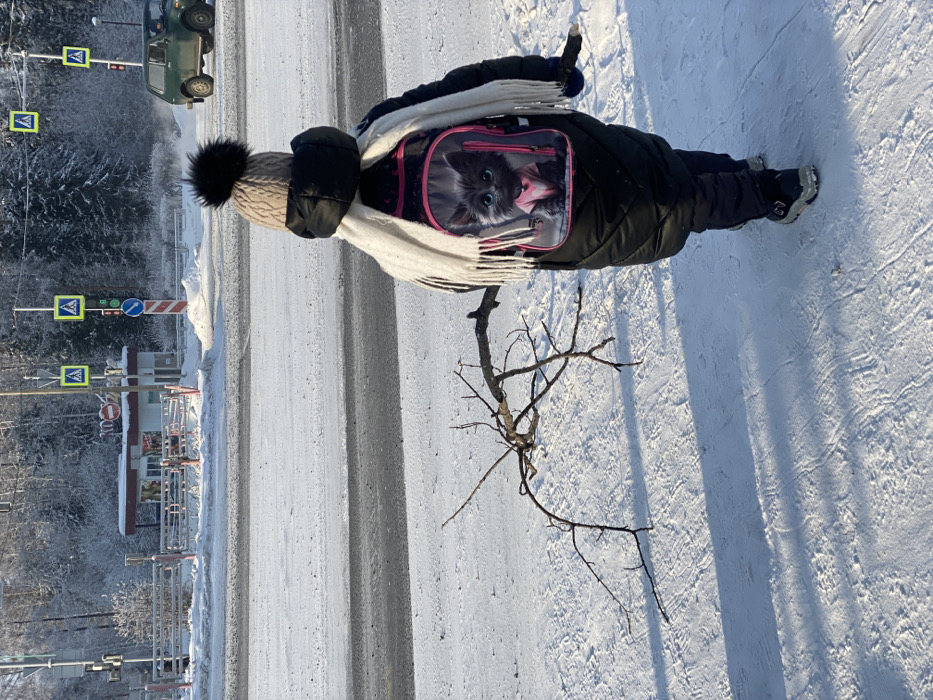 Person in winter gear observed on snowy road in Ust-Ilimsk