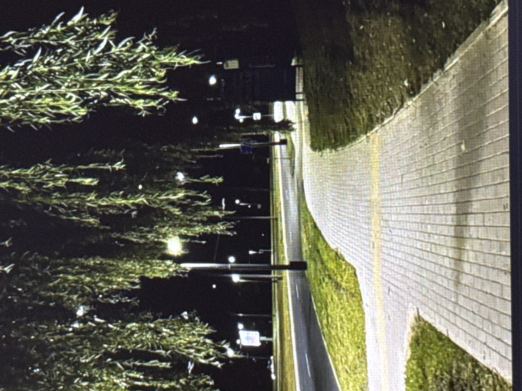 Night out: park paths, river boats, fire, and city streets
