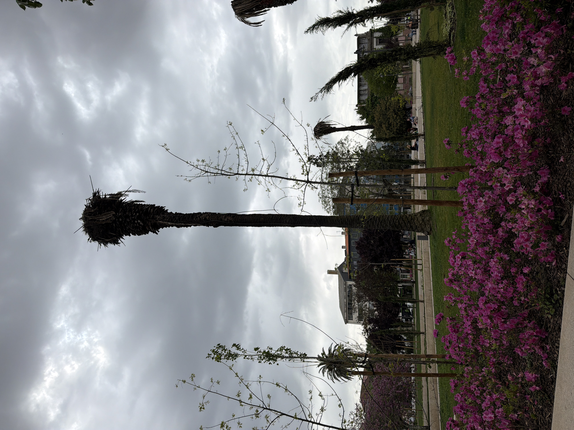 Spring park scenes documented in Porto during cloudy afternoon