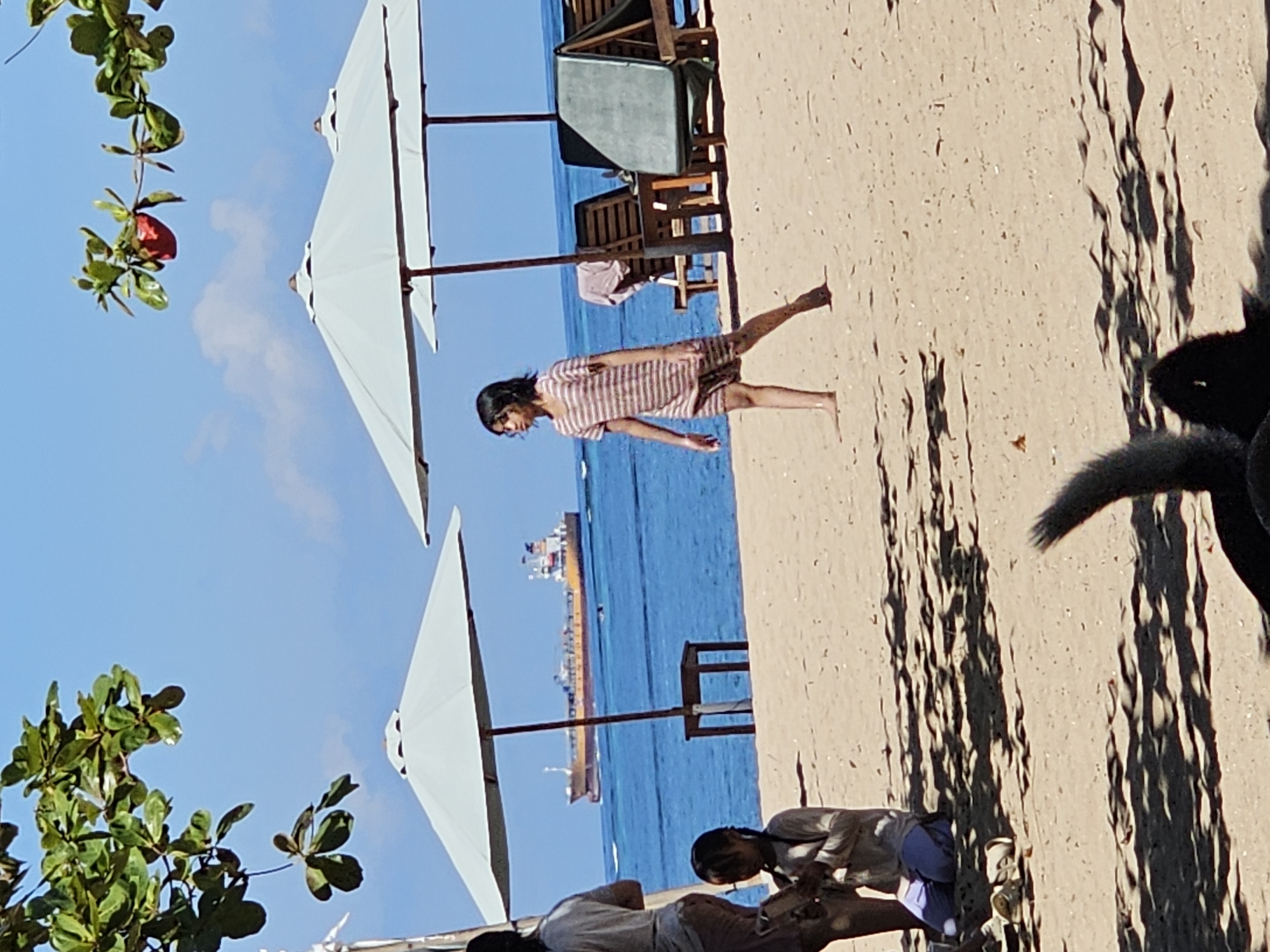 Early morning beach life documented in Denpasar, Indonesia