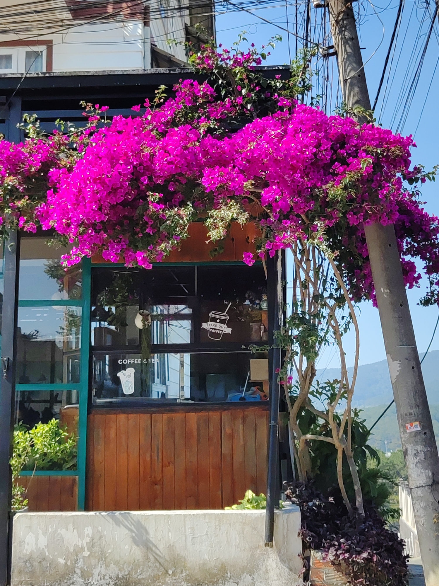 Da Lat street scenes documented across multiple neighborhoods