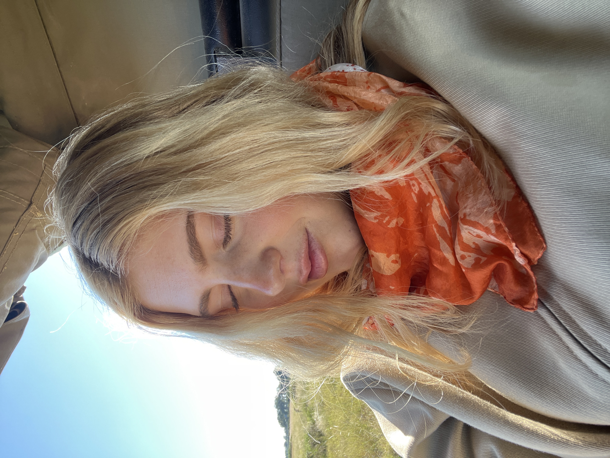 Tourist in orange scarf observes giraffes from safari vehicle