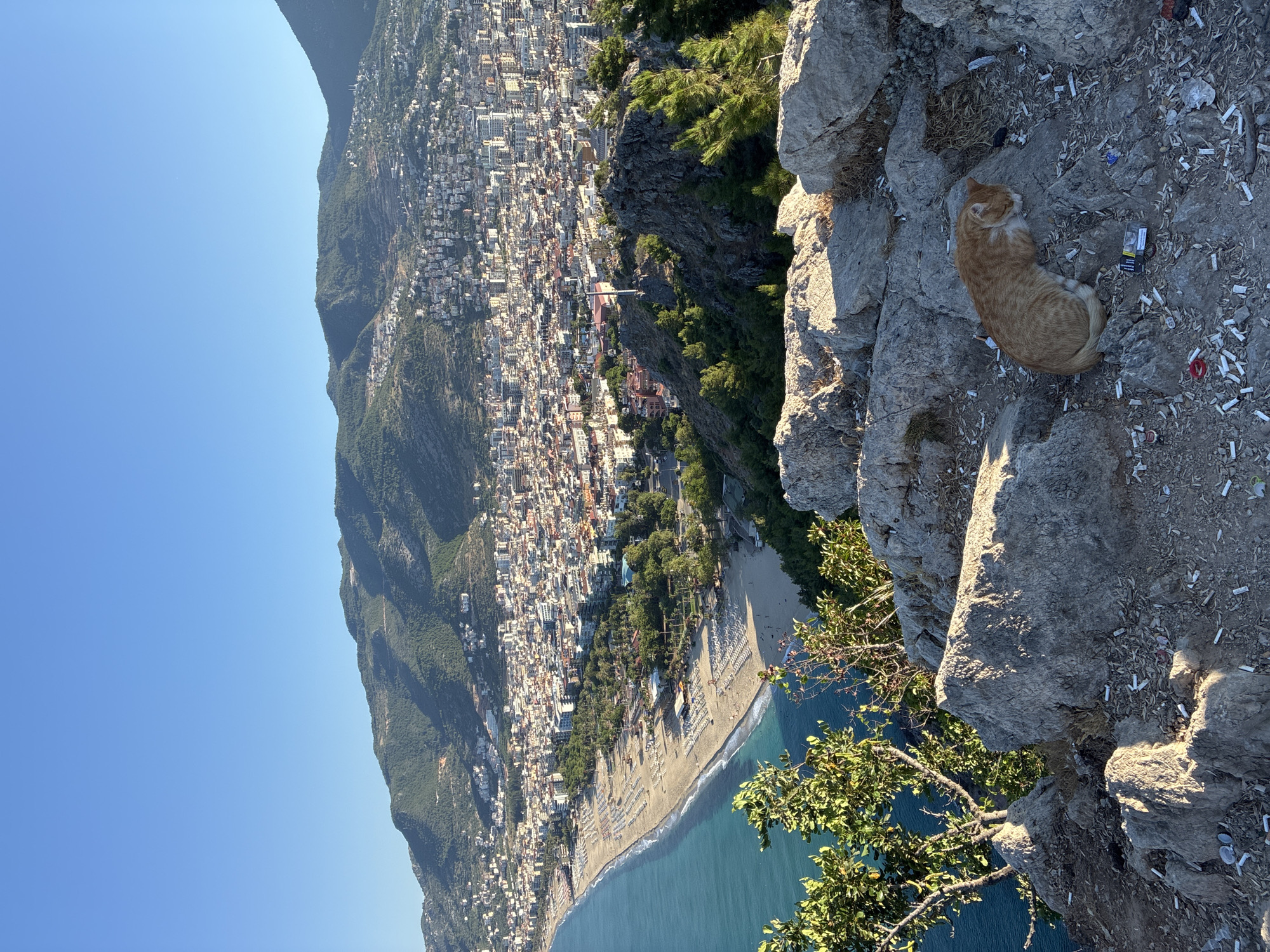 Cat naps on rocks above Alanya's Mediterranean coastline