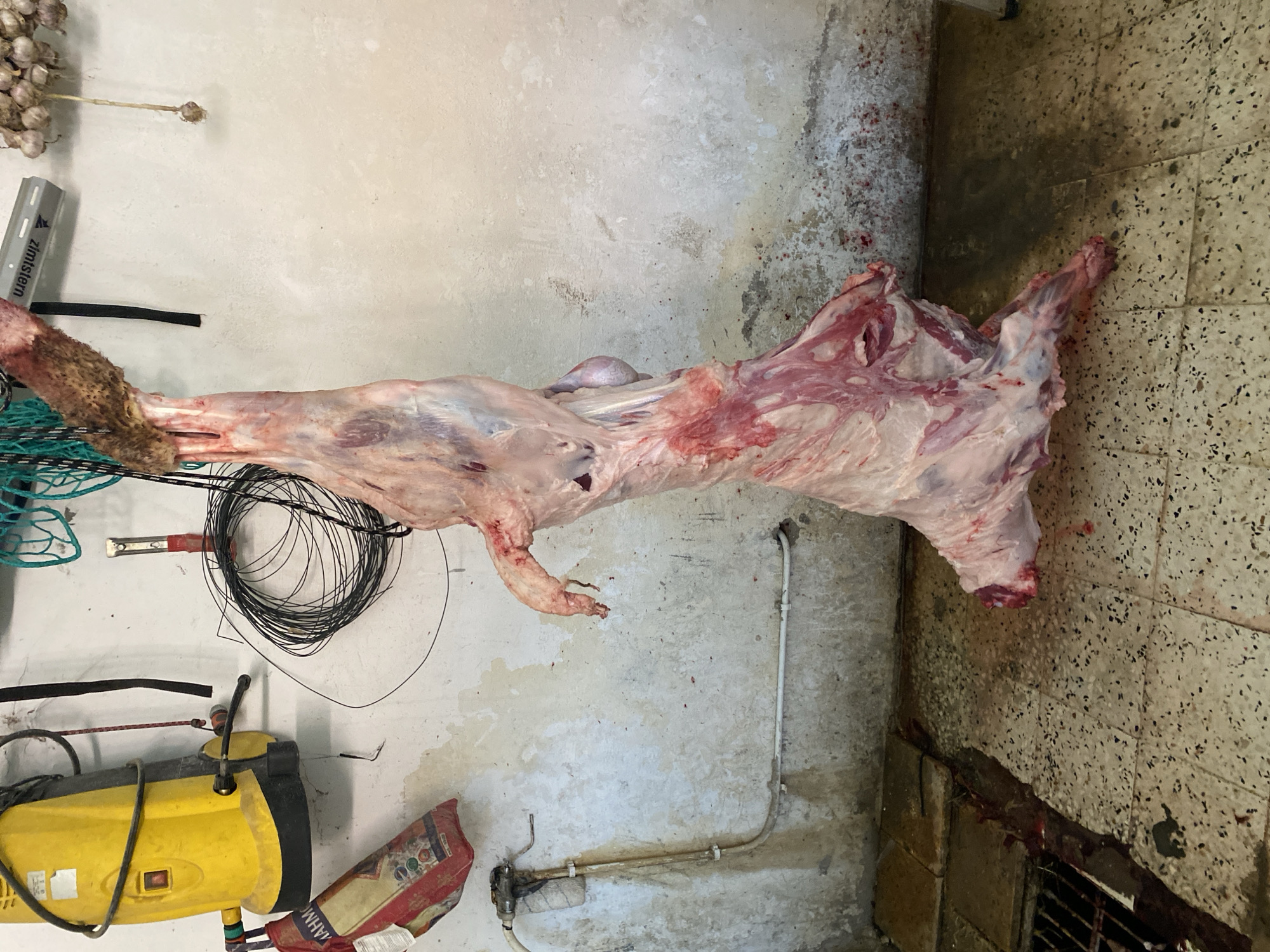 Two men butcher livestock in Baraki, Algeria
