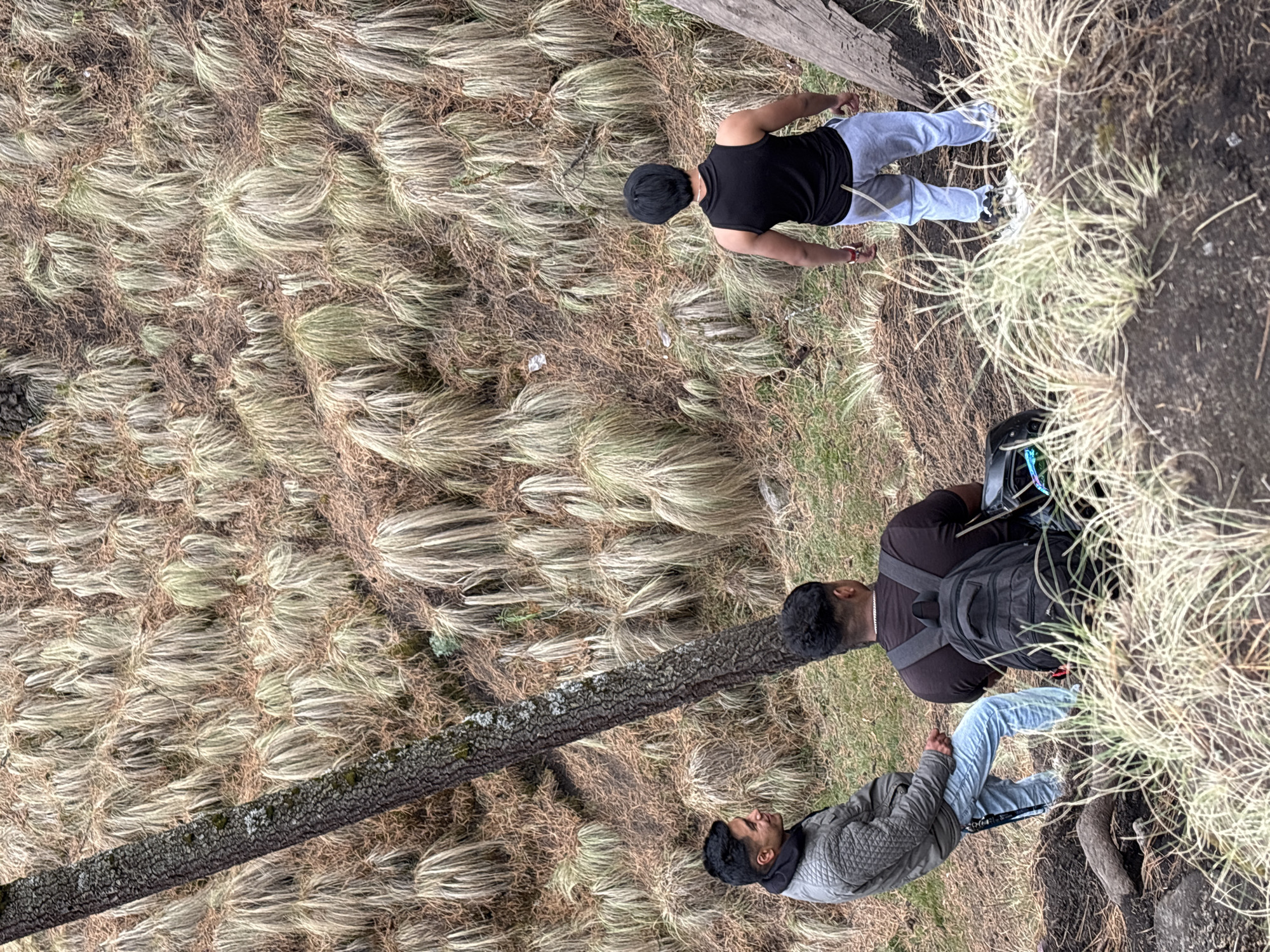 Group gathers in Izta-popo forest for outdoor activity